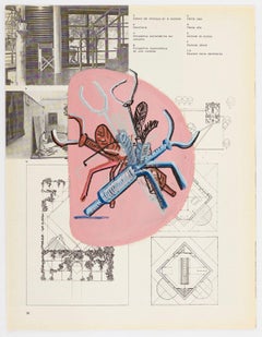 Untitled (Bichos / Lina Bo Bardi)