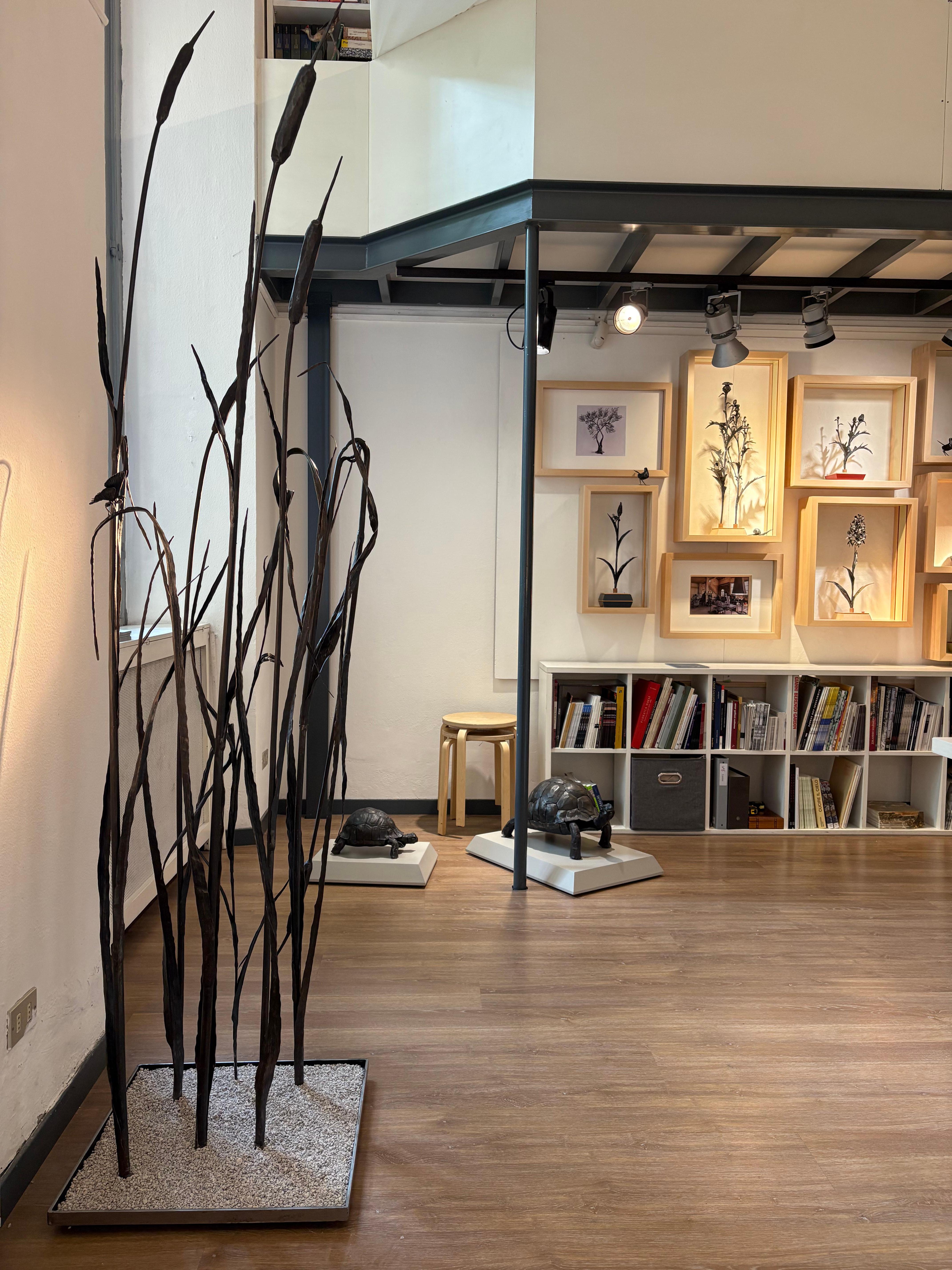 Escultura contemporánea de bambú forjado de Luciano Zanoni
Acero forjado a mano, base personalizable - Italia

Esta sorprendente escultura contemporánea del artista italiano Luciano Zanoni presenta siete filamentos de acero forjados a mano con una