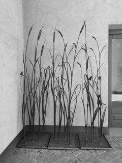 Bamboo reeds, inside or outdoor wrough iron unique sculpture showed by Zanoni