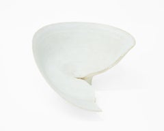 Schale aus weißem Porzellan, geteilt in Firing