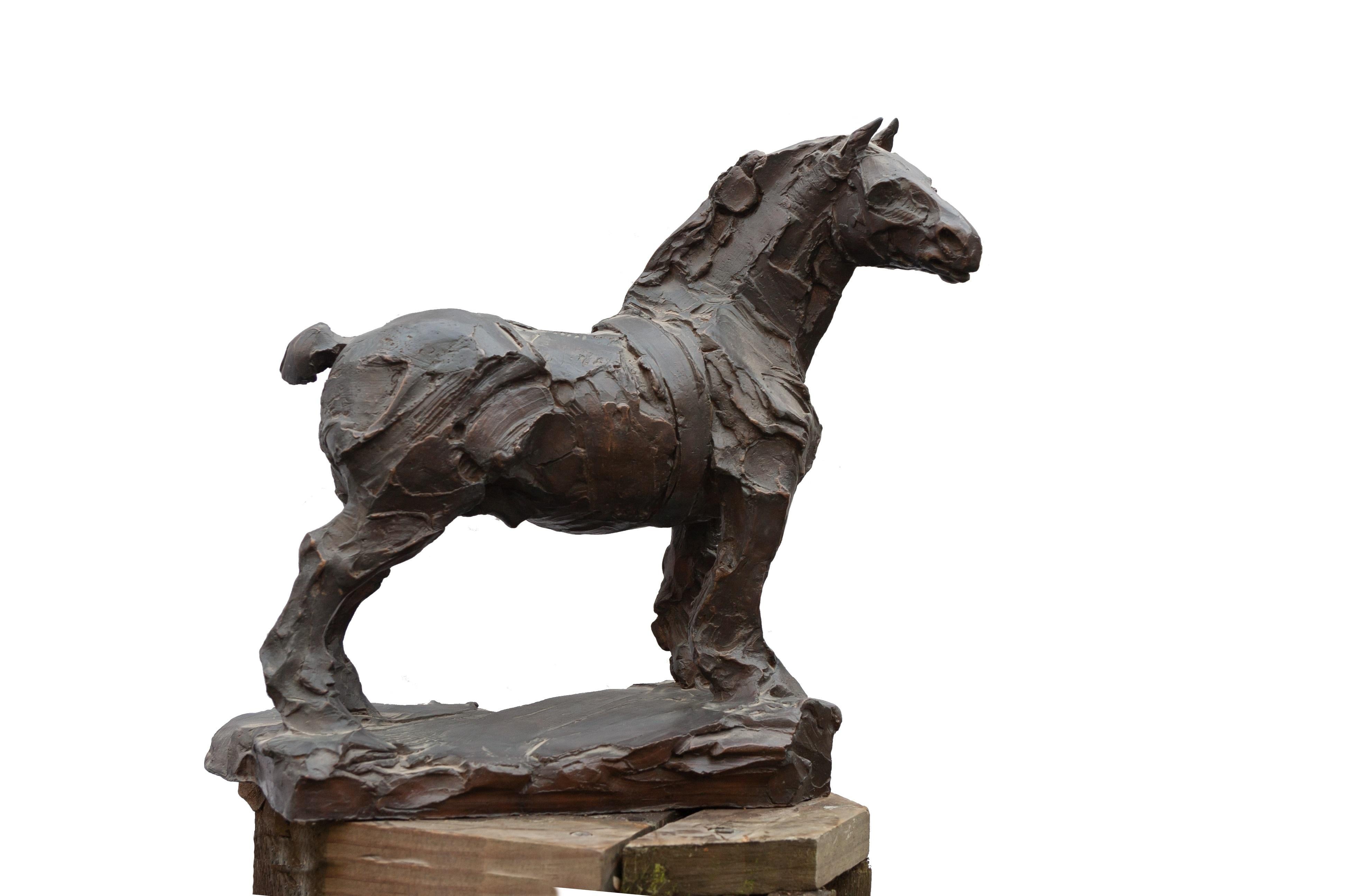 Figurative Sculpture de Lucie Sentjens - Escultura Caballo Trabajo Bronce De Pie Poder Animal En Stock