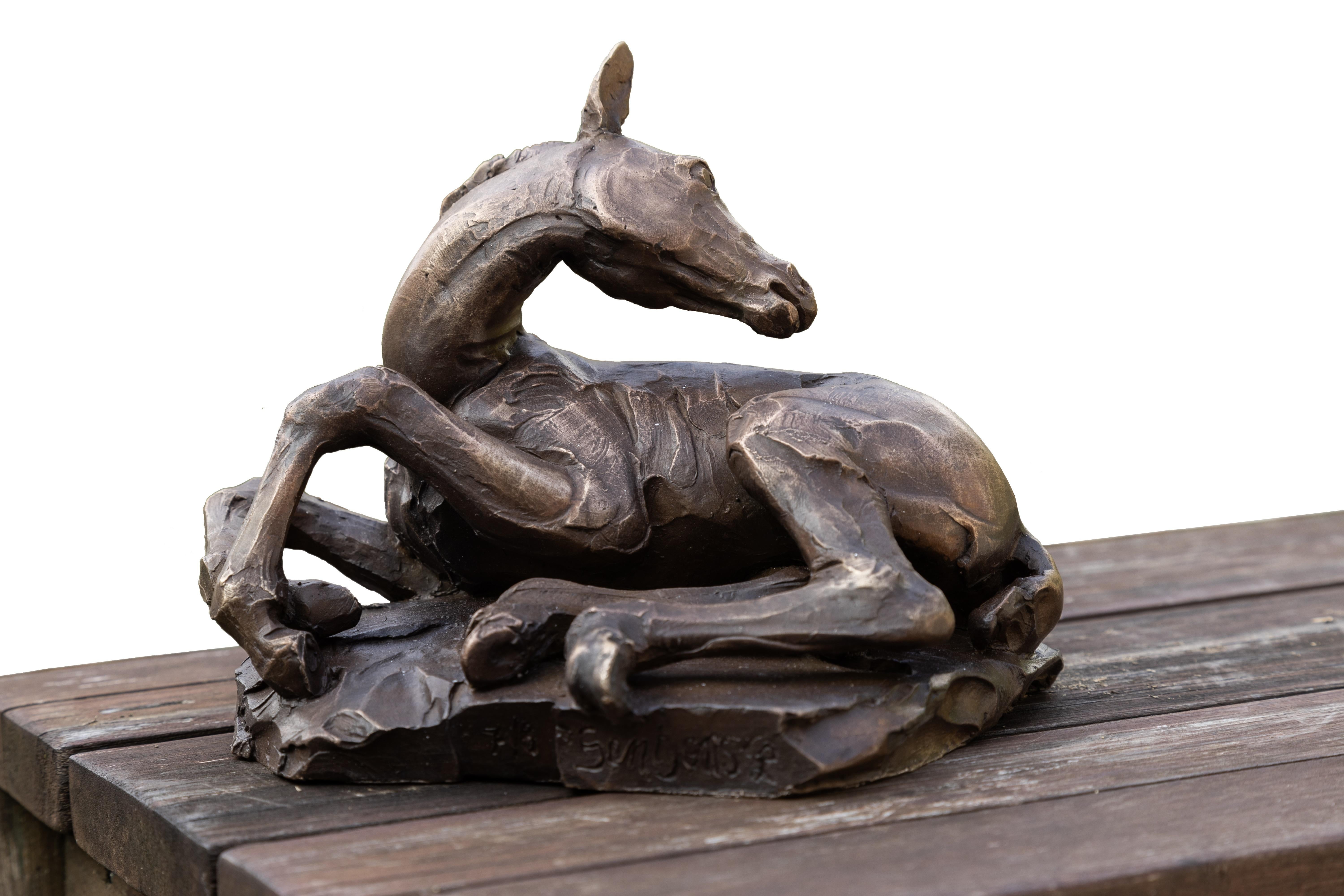 Figurative Sculpture di Lucie Sentjens - Scultura in bronzo di Poulain Couché, puledro addormentato In magazzino