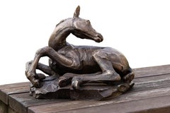 Poulain Couché Escultura de Bronce Caballo Potro Dormido En Stock