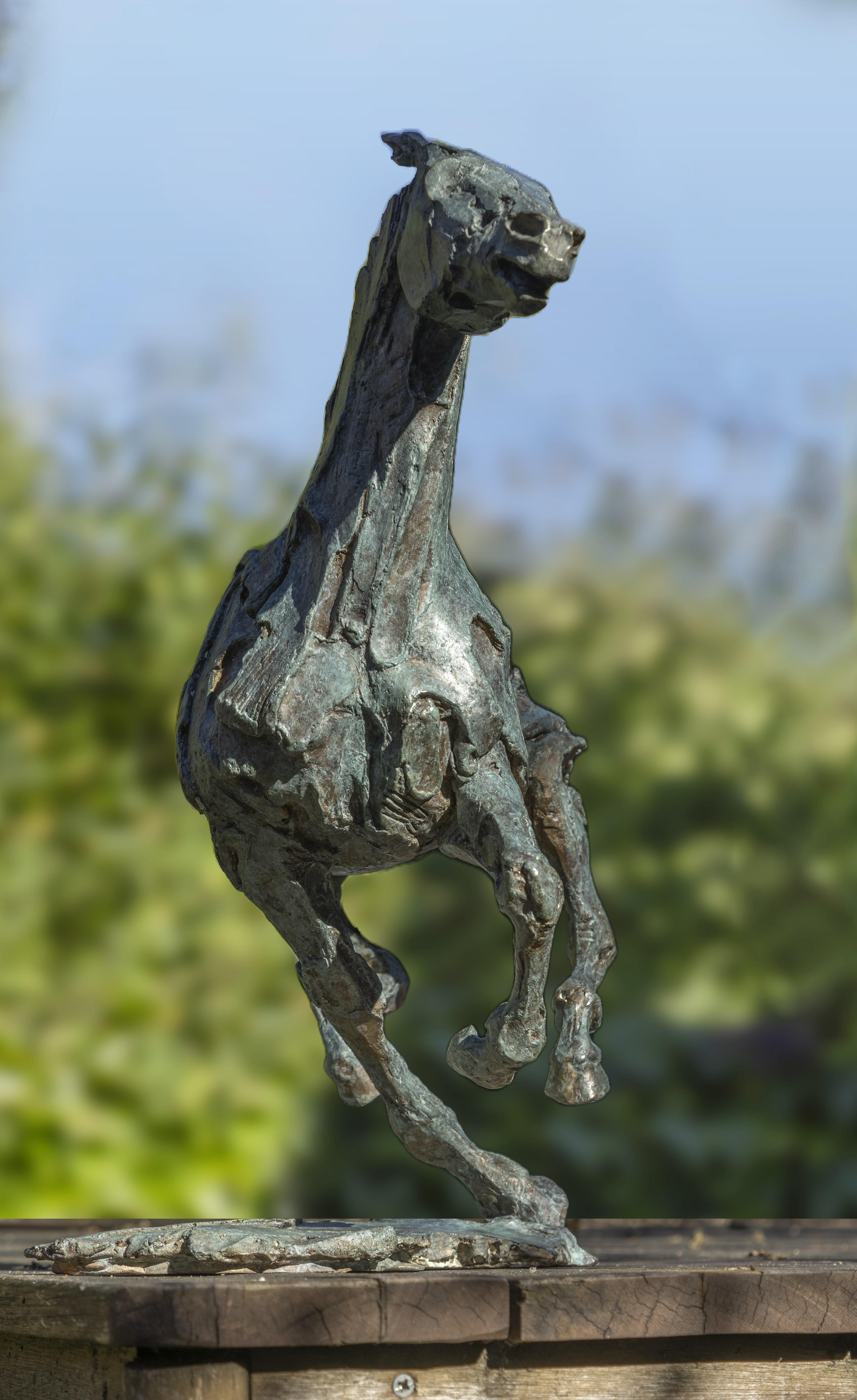 Trois Temps Tres Veces Caballo Galop Escultura Bronce Animal En Stock - Sculpture de Lucie Sentjens