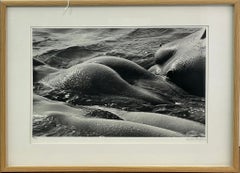 Les Géantes, Camargue