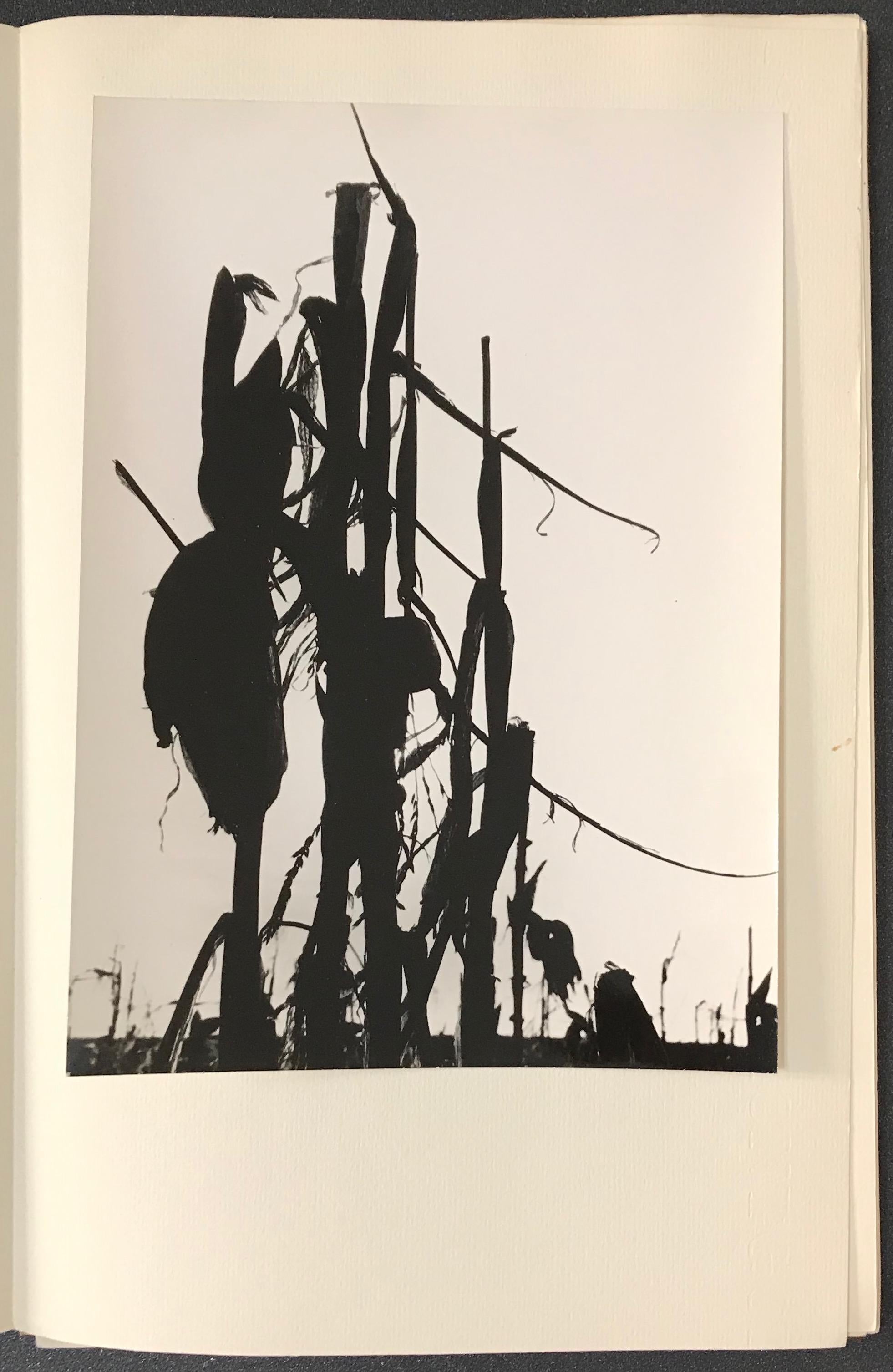 Maïs, Le Marais D'Arles - Original Photographic Book by L. Clergue - 1960 6