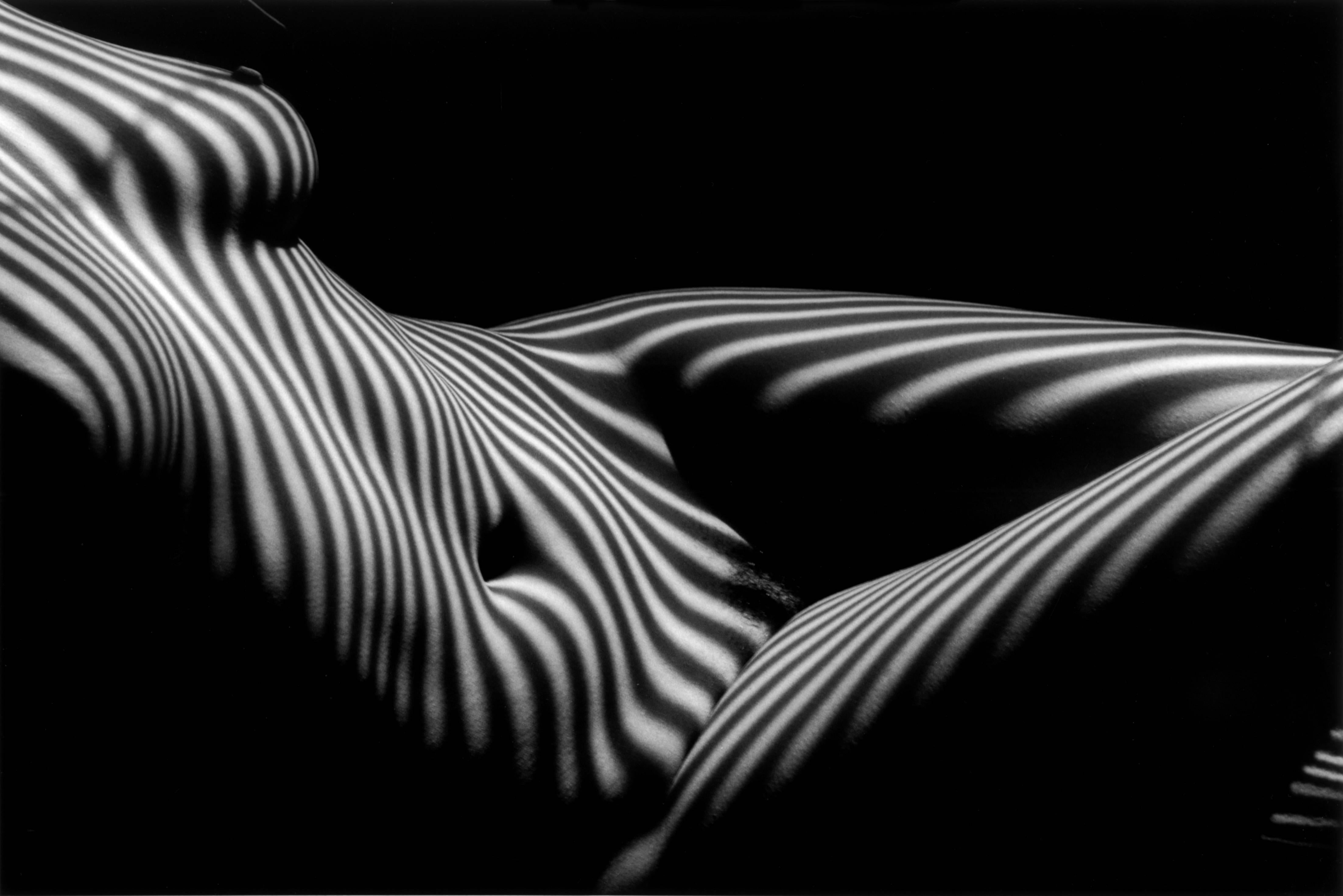 Lucien Clergue Black and White Photograph - Nu zèbre, New York 2007