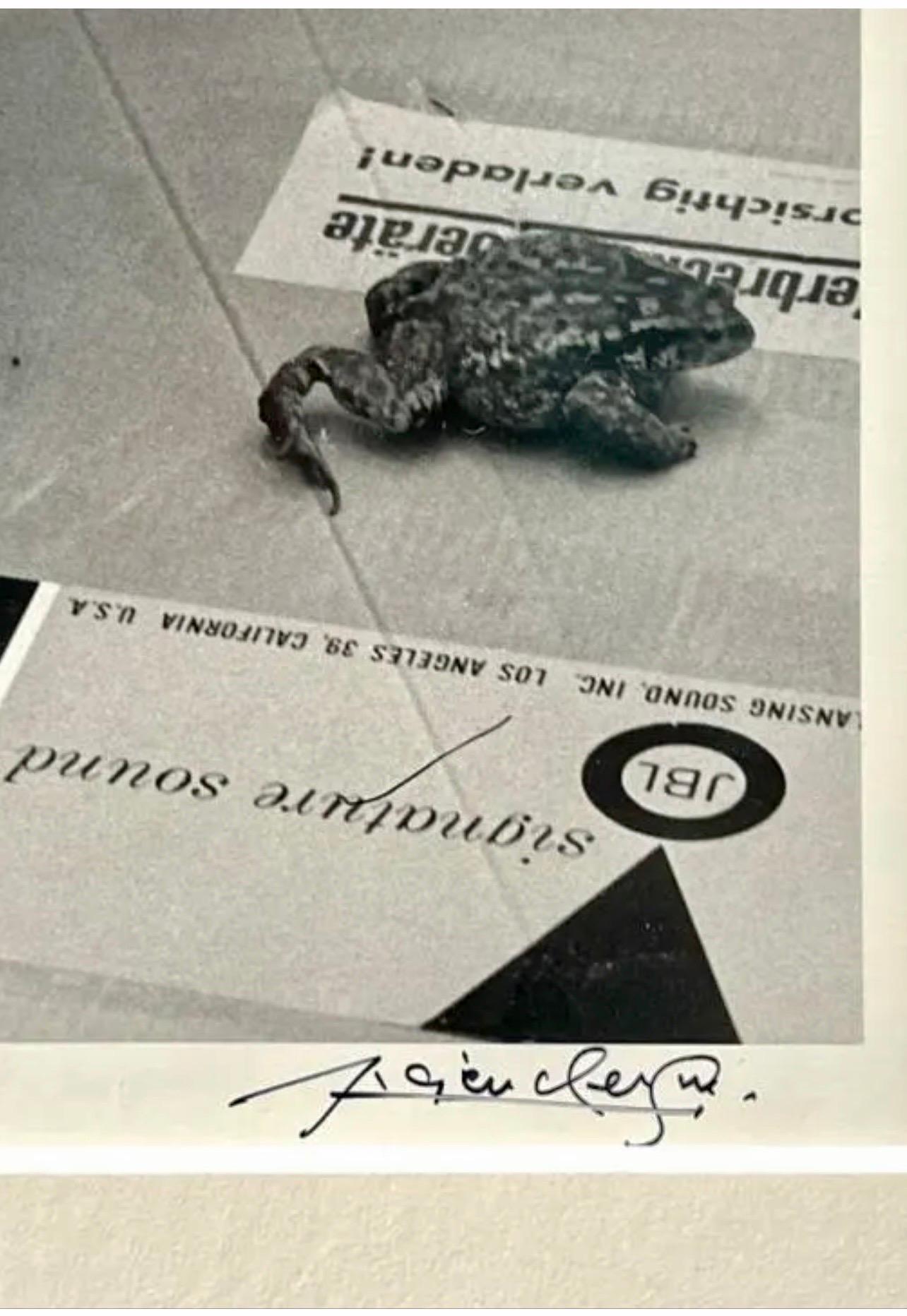 Lucien Clergue (FRENCH, 1934 - 2014) 
Gelatin silver photographic print depicting Pablo Picasso with a frog or turtle.
Mougins, 1968
Hand signed by the artist with hand written description. Titled and dated lower left. 
Mounted in a silver painted