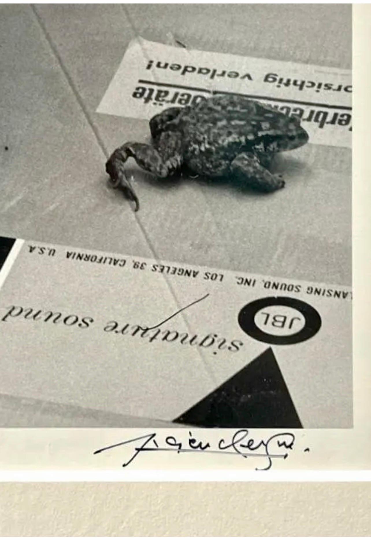 Silver Gelatin Photograph Hand Signed Photo Pablo Picasso Profile Lucien Clergue en vente 3