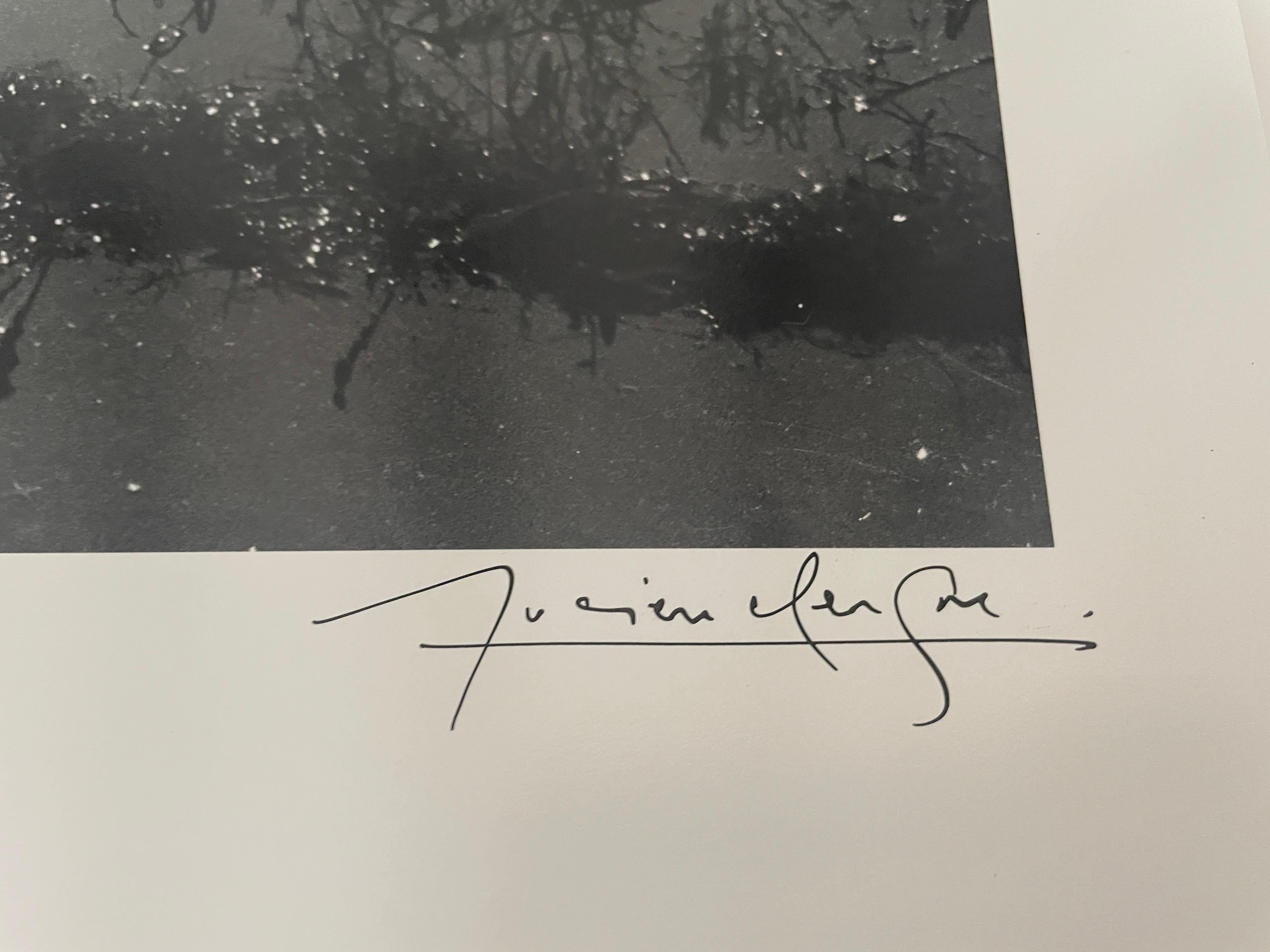 Vignes Inedées, Viñedo en el agua - Landscape Photograph Negro de Lucien Clergue