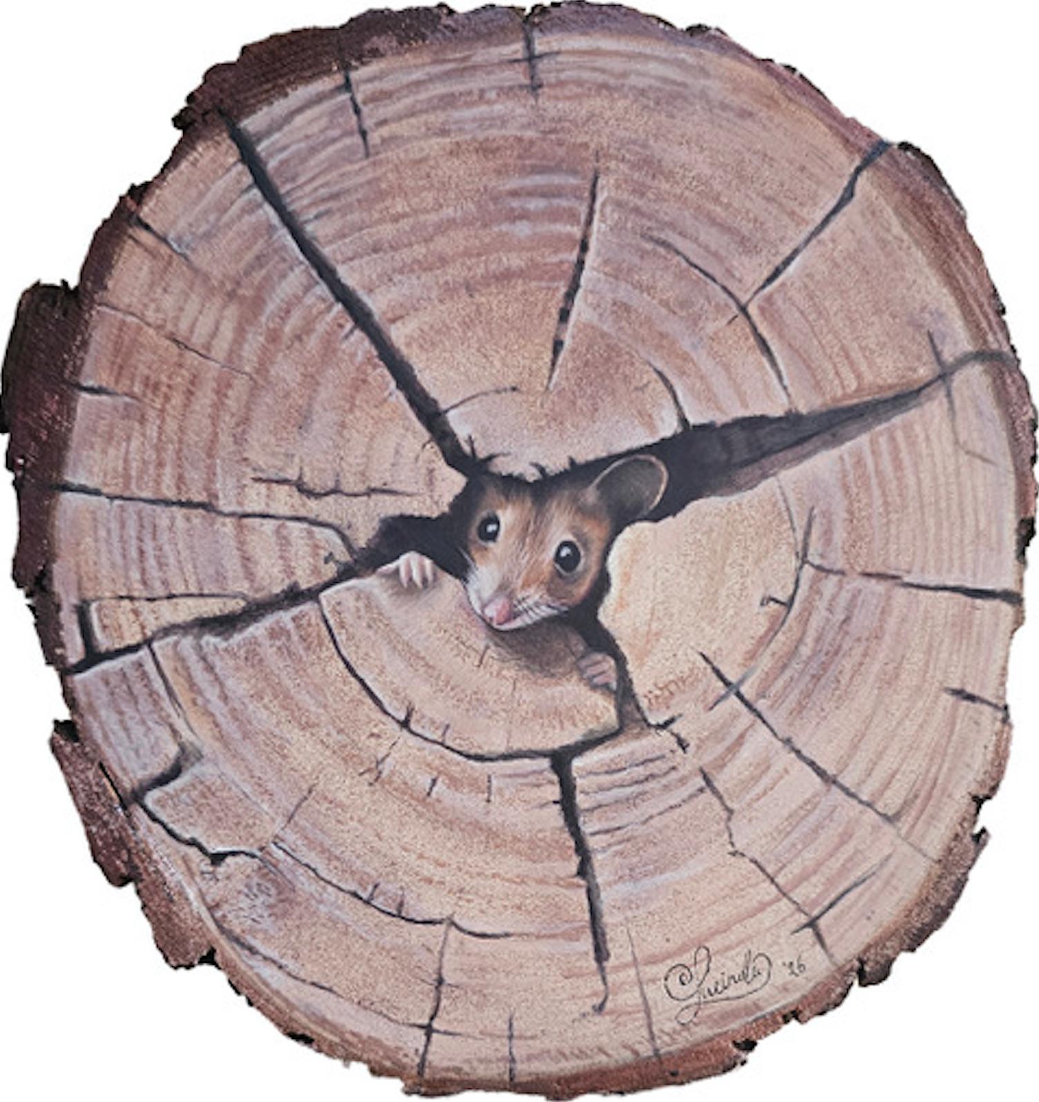 Peek - original realist oil painting-contemporary wildlife art