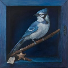Arrendajo azul de Texas en una caja - pintura al óleo realista original - arte de la vida salvaje