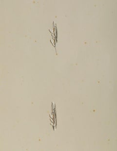 Lucio Fontana (1899–1968) - SERIE ROSA - Etching and aquatint on paper - 1966