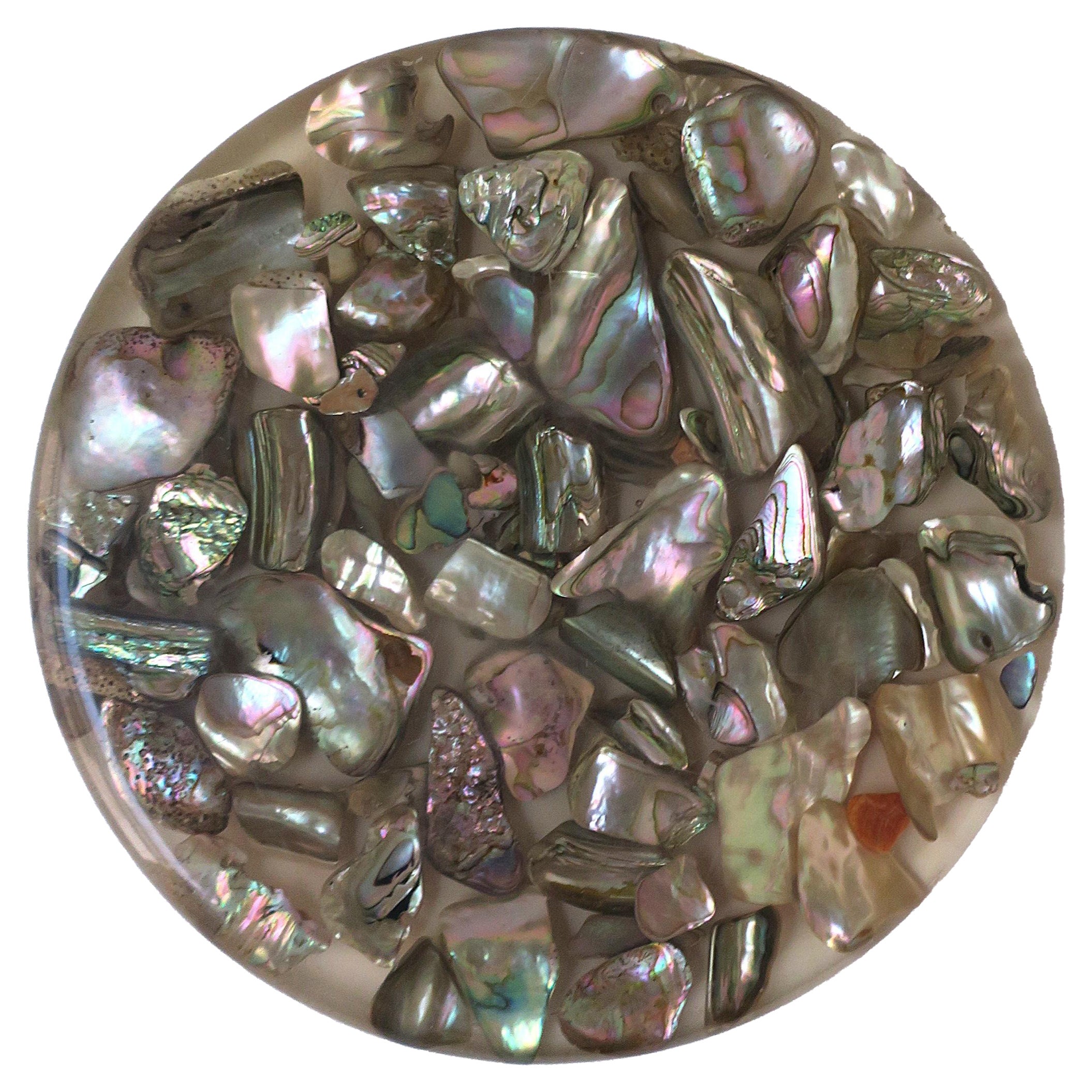 Lucite Acrylic Abalone Seashell Trivet For Sale