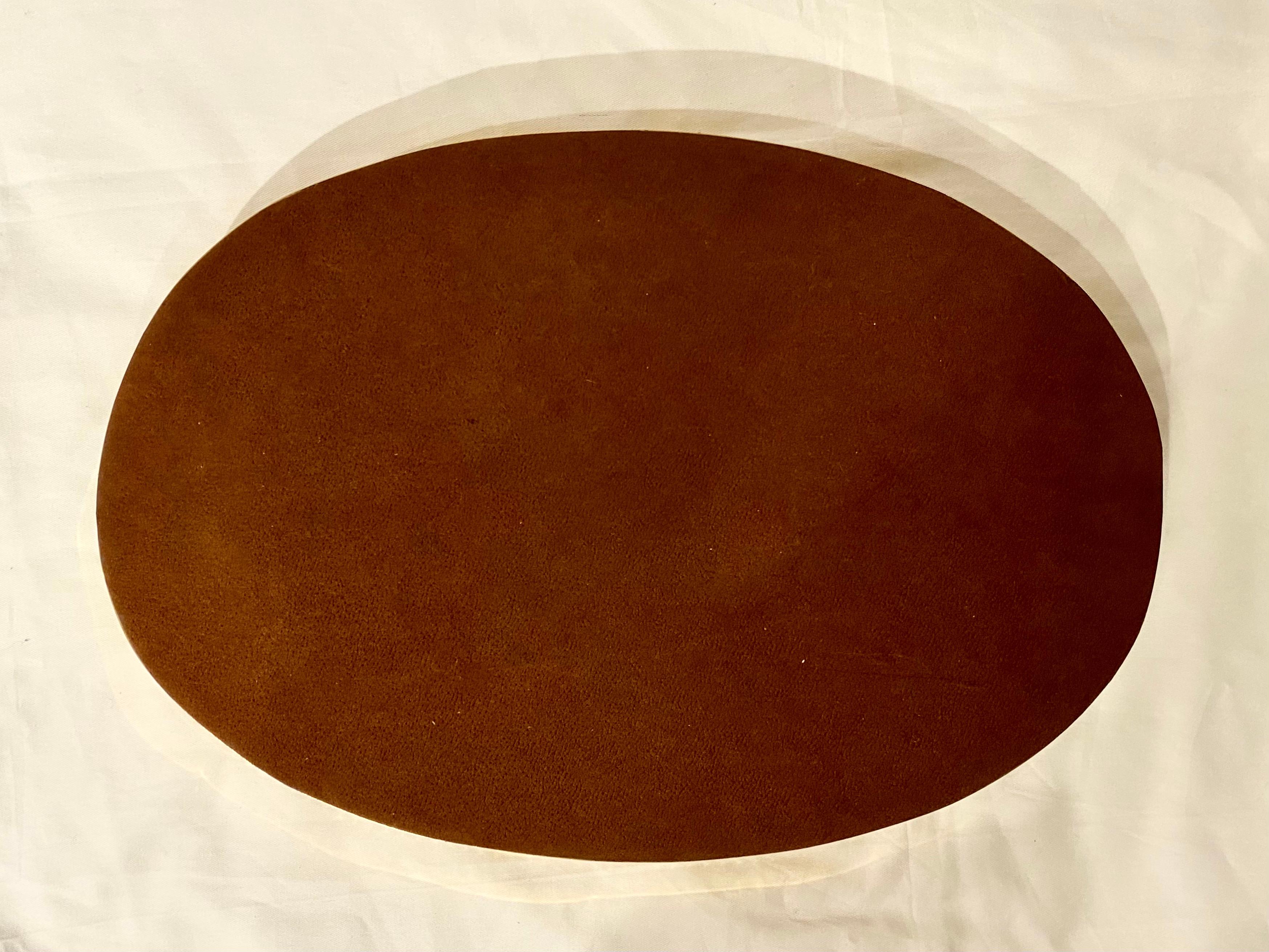 Lucite and Brass Tortoise shell Large Tray, Italy, Mid-Century Moderne For Sale 8