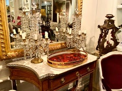 Lucite and Brass Tortoise shell Large Tray, Italy, Mid-Century Moderne