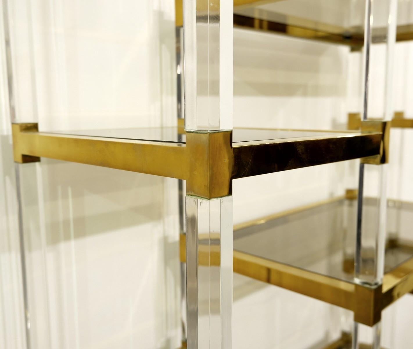 European Lucite And Glass Arc Shelving, 1970s