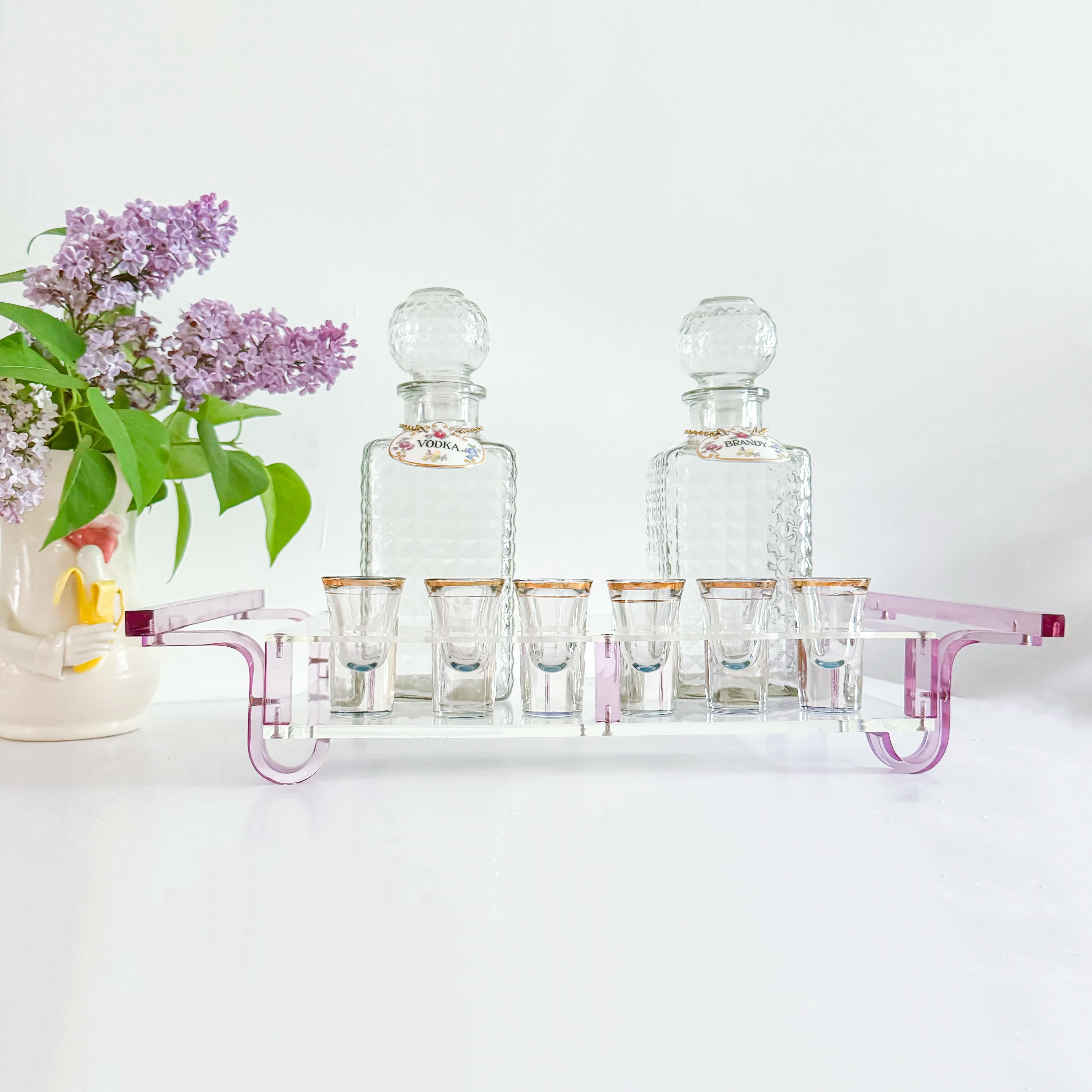 Juego de Cóctel Personalizado Lucite Vasos de chupito Mid Century Modern Hollywood Regency en venta 1