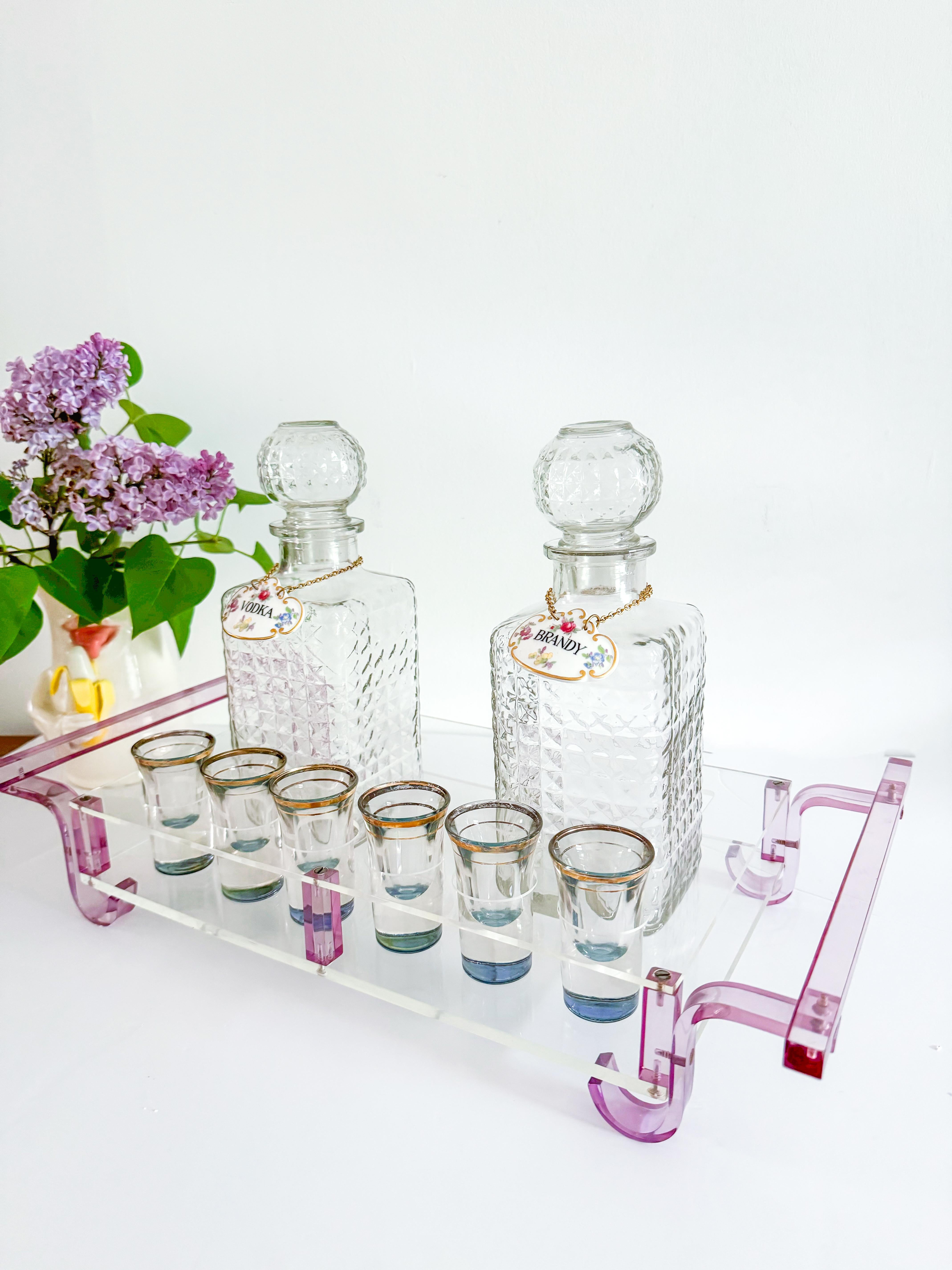 Juego de Cóctel Personalizado Lucite Vasos de chupito Mid Century Modern Hollywood Regency en venta 2