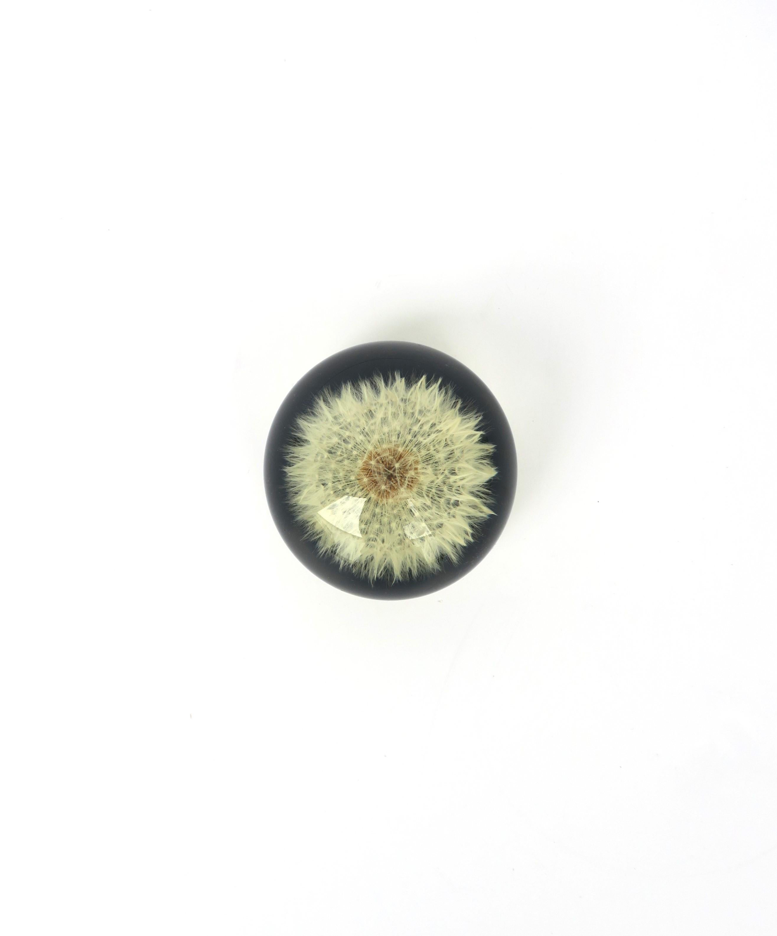 A Lucite or acrylic encased 'Dandelion' flower seed-head decorative object or paperweight in the Organic Modern style, circa late-20th century. Art meets nature meets technology. A paperweight or decorative object for an office, library, desk,