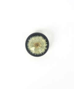Oggetto decorativo con fiore di dente di leone incastonato in lucite, fermacarte
