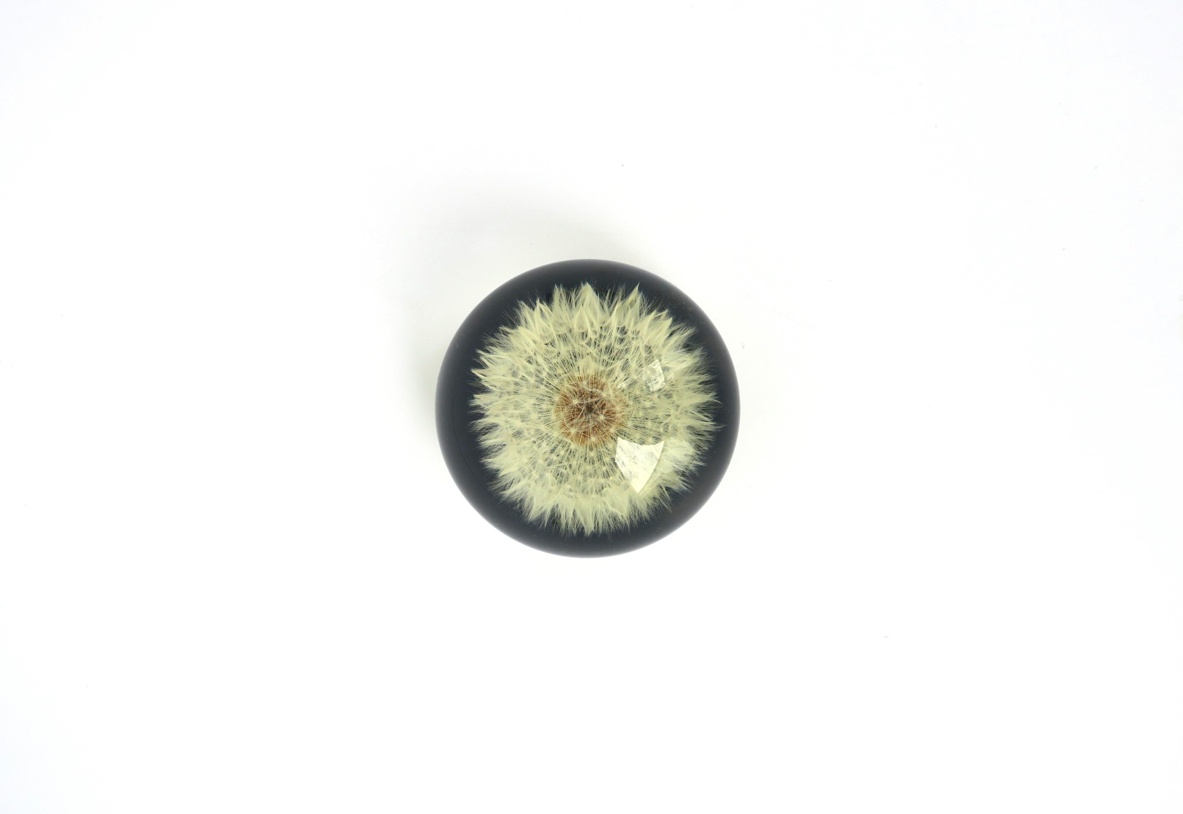 Organique Objet décoratif en forme de fleur de pissenlit encastrée dans de la lucite - Presse-papiers en vente