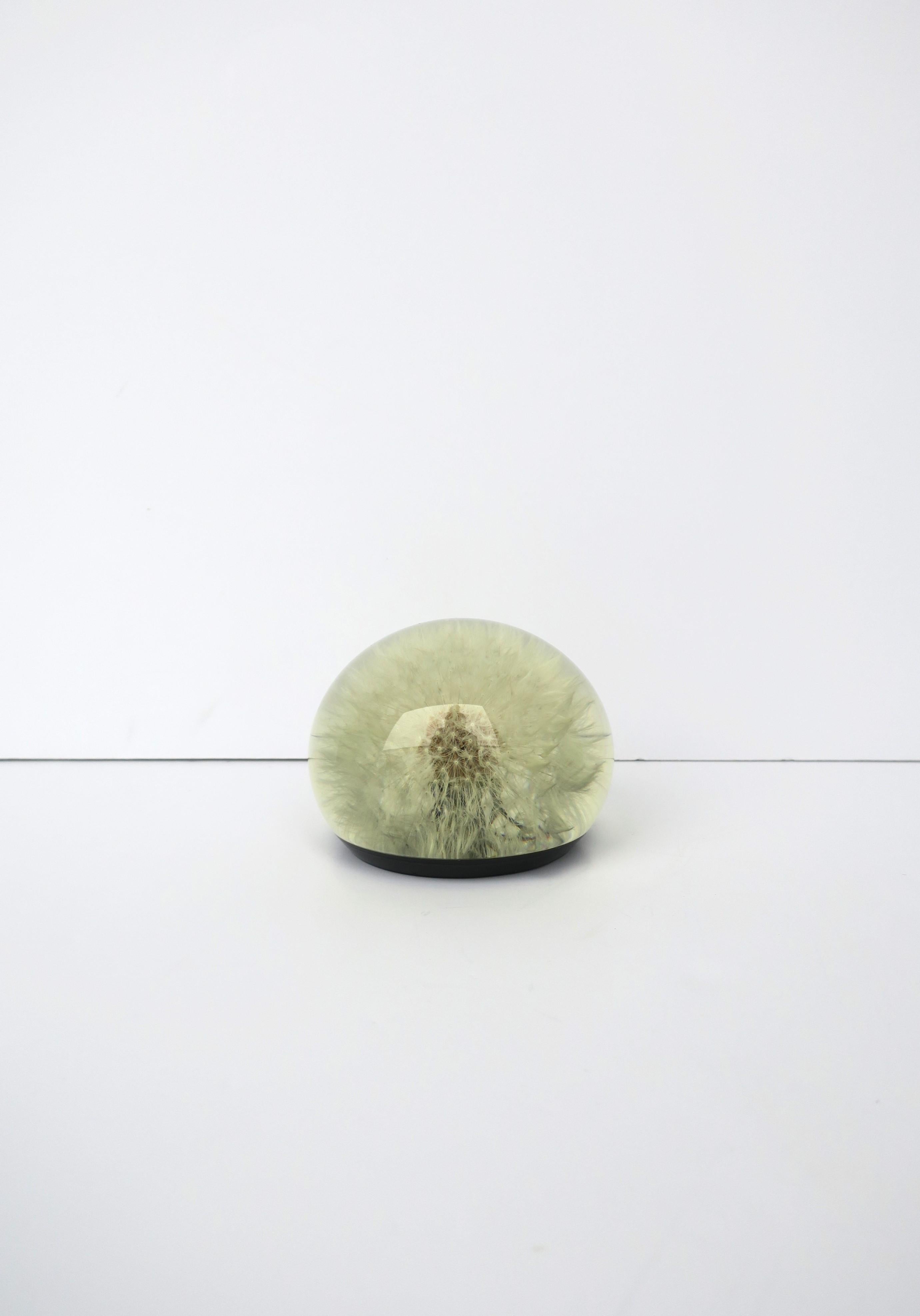 Lucite ummantelt Löwenzahn Blume Dekoratives Objekt Briefbeschwerer im Zustand „Gut“ im Angebot in New York, NY
