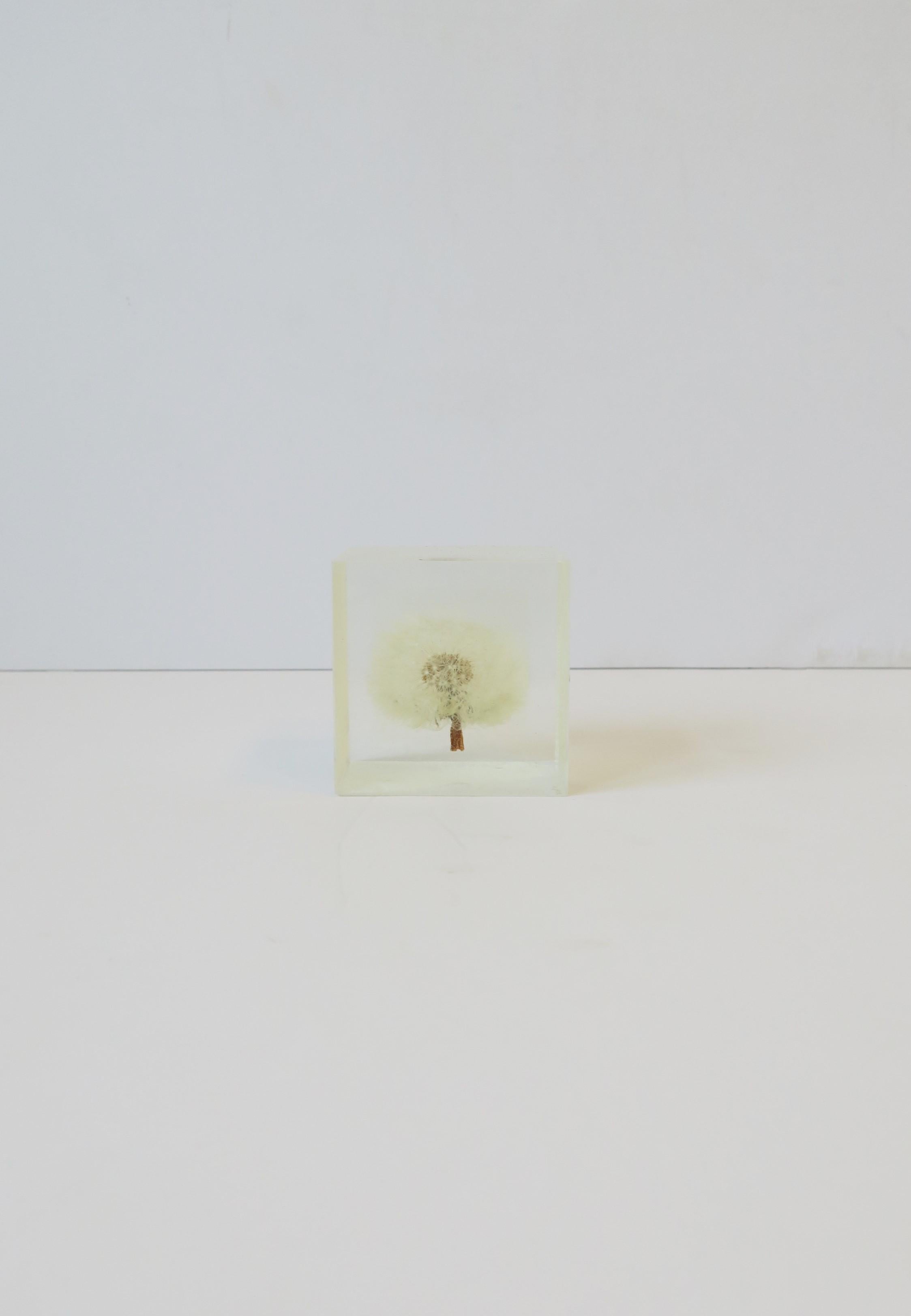 A beautiful Lucite or acrylic cube with encased dandelion flower seed-head decorative object or desk accessory, circa 20th century, 1960s - 1970s. Art meets nature meets technology. Piece measures: 2.07