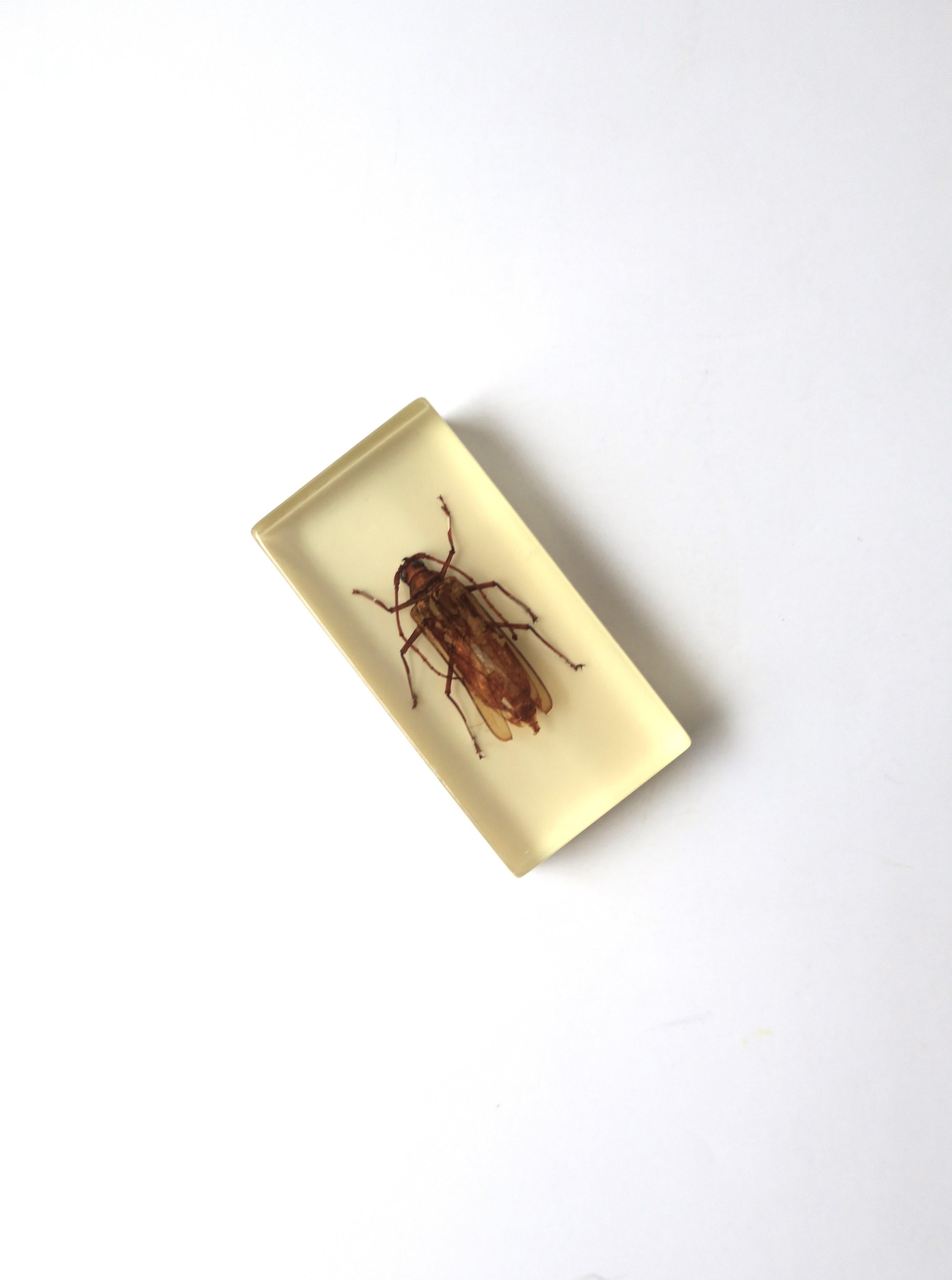 Victorian Lucite Encased Insect Bug Decorative Object or Paperweight For Sale