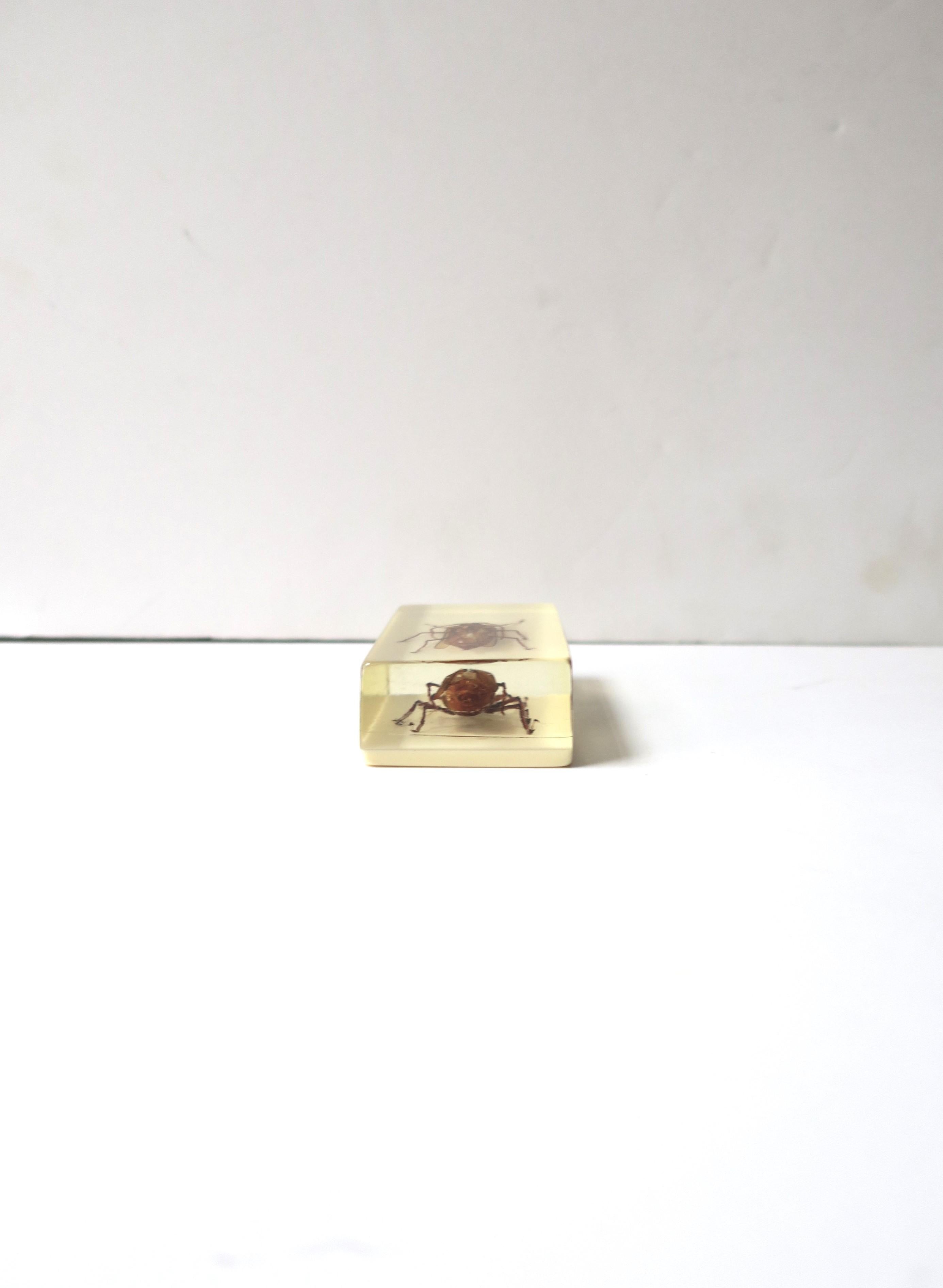 Lucite Encased Insect Bug Decorative Object or Paperweight For Sale 3