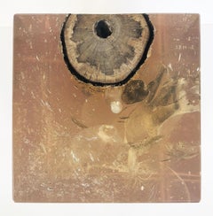 Lucite Encased Wood Trunk/Pedestal/Occasional Table