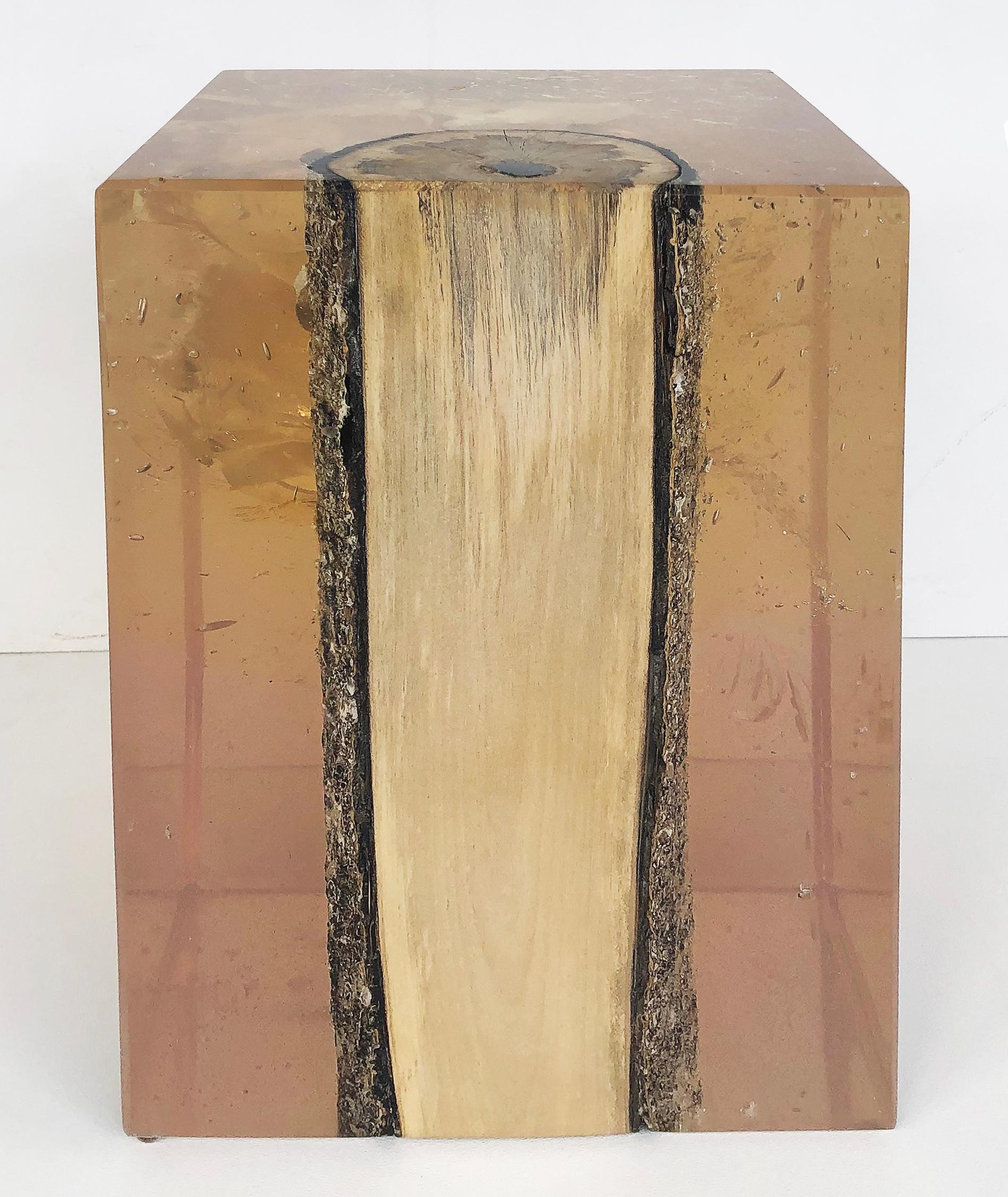 Organic Modern Lucite Encased Wood Trunk/Pedestal/Occasional Table