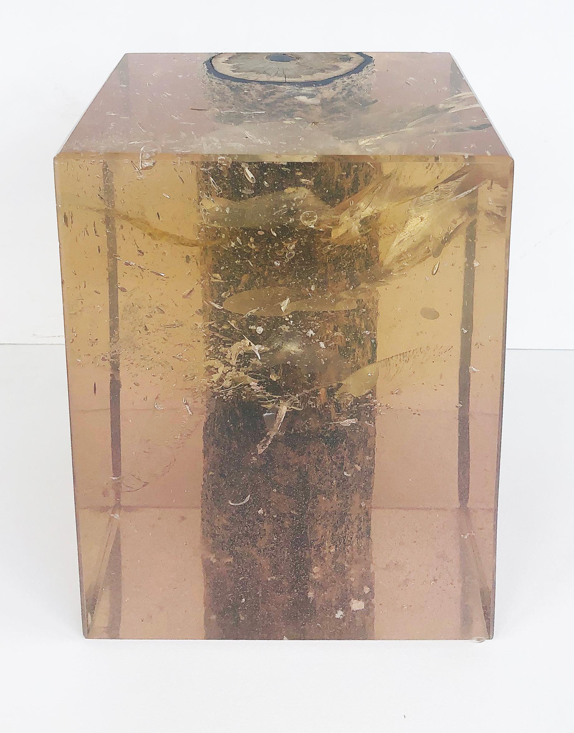 Lucite Encased Wood Trunk/Pedestal/Occasional Table In New Condition In Miami, FL