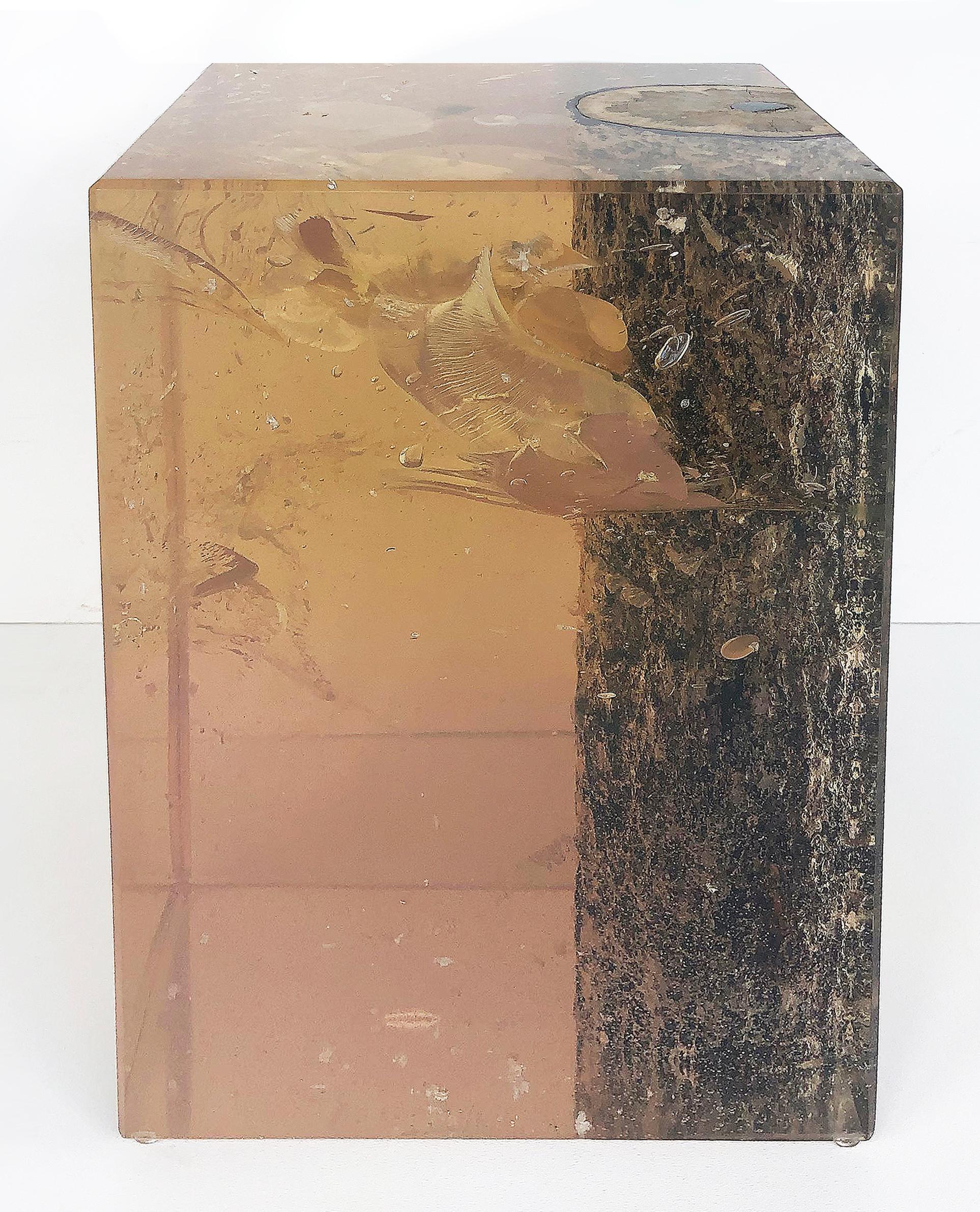 Lucite Encased Wood Trunk/Pedestal/Occasional Table 1