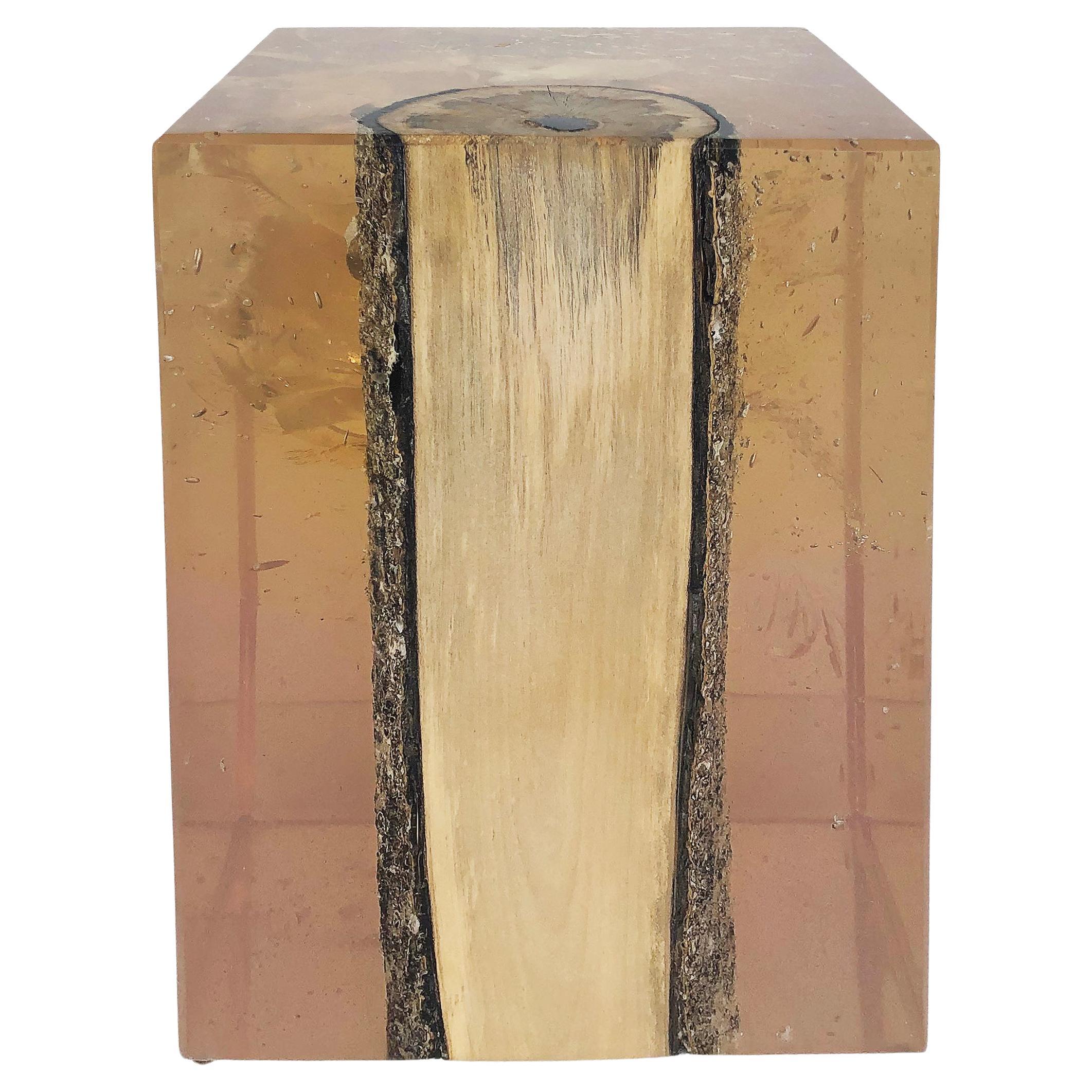 Lucite Encased Wood Trunk/Pedestal/Occasional Table