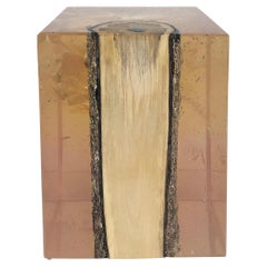 Lucite Encased Wood Trunk/Pedestal/Occasional Table