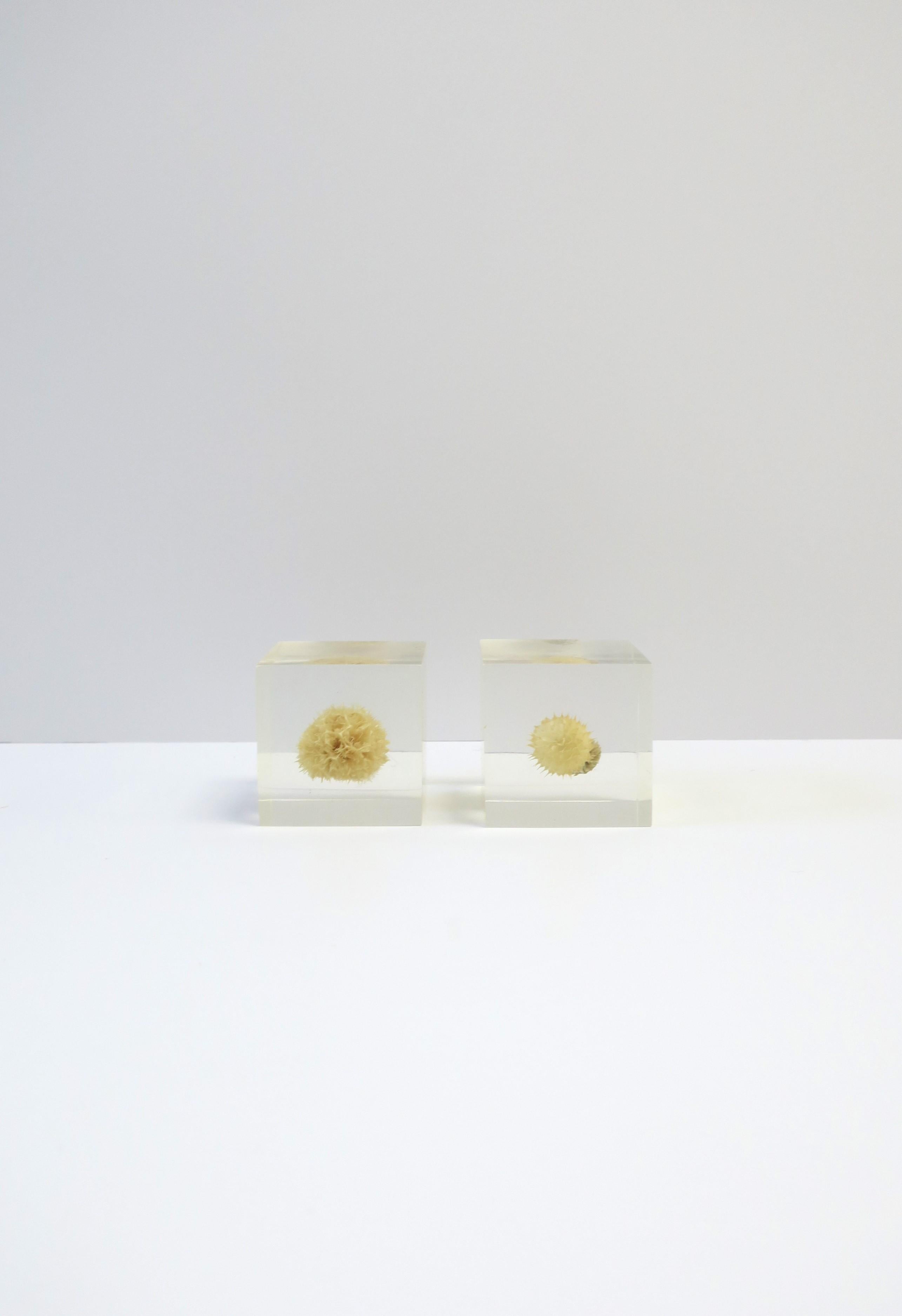 A set of two (2) Organic Modern Lucite flower bud cubes decorative objects in the style of French designer Pierre Giraudion, circa 20th century. A great set that's just enough to add a special touch on a table, desk, office, library, etc. Just shy