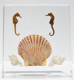Lucite Sea Life Specimen Sculptures Mid Century Modern