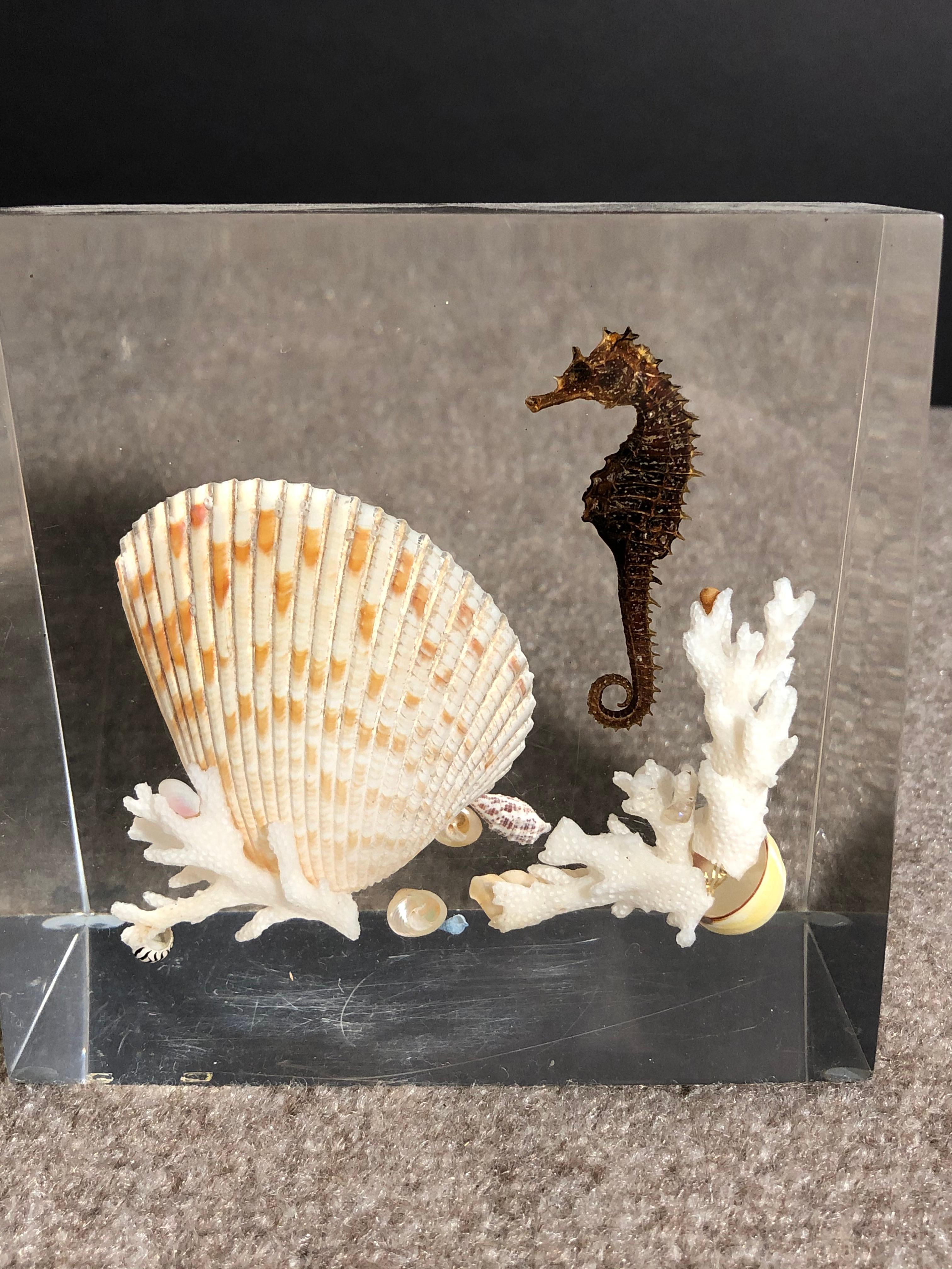 Pair Of Whimsical Clear Bookends With Seashells And Seahorse For Sale 1