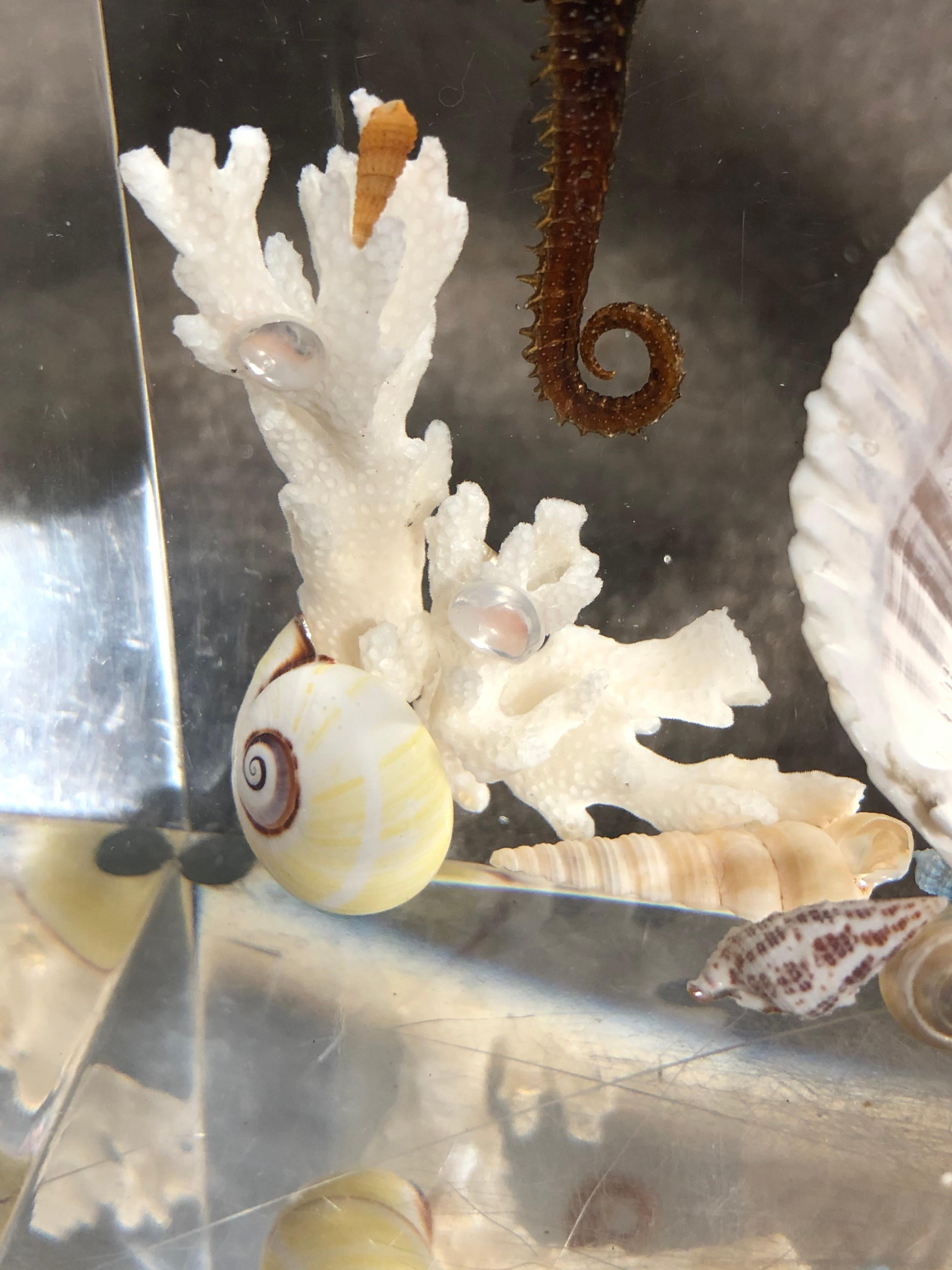 Pair Of Whimsical Clear Bookends With Seashells And Seahorse For Sale 7