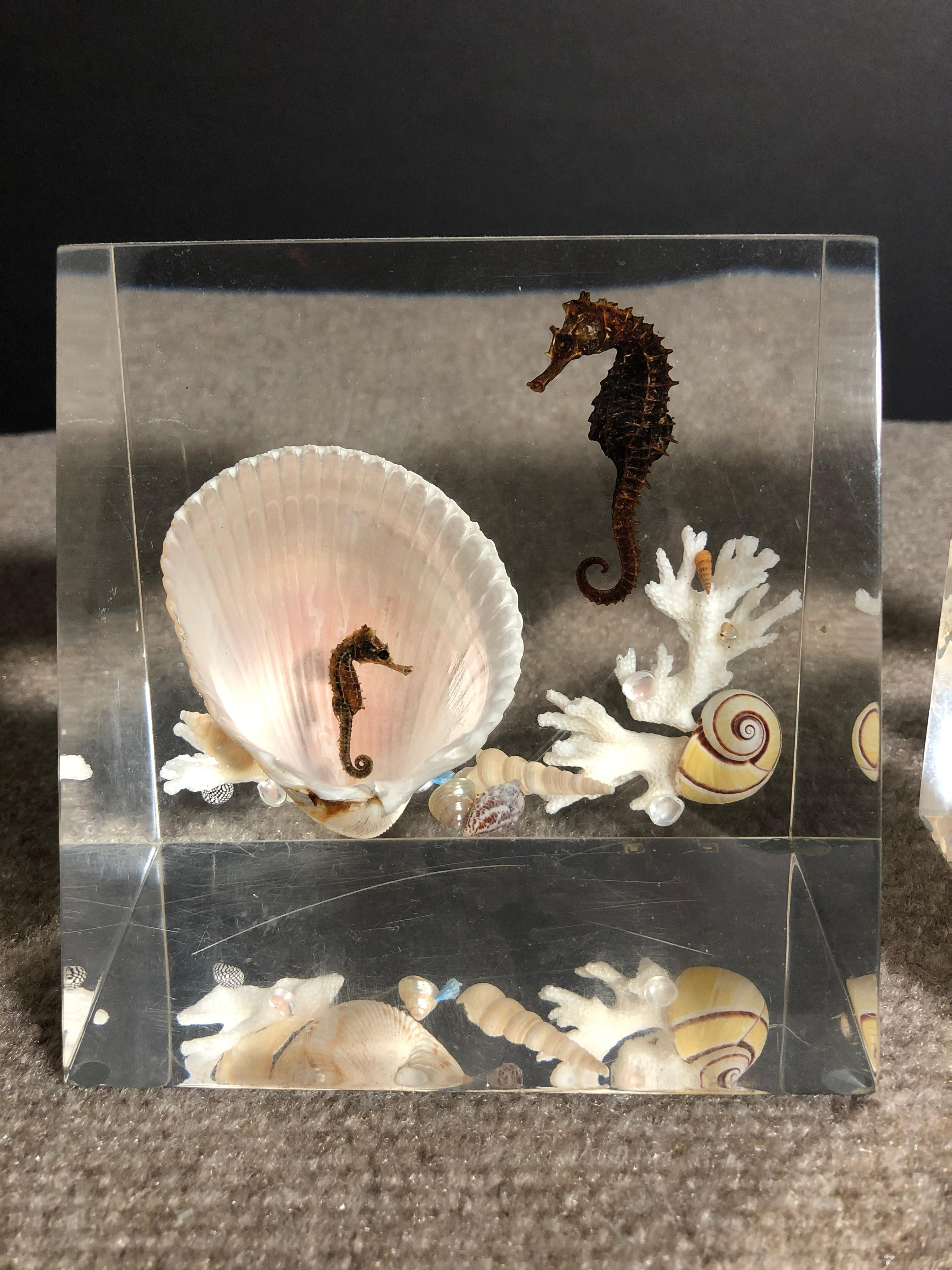 Whimsical pair of Lucite bookends with underwater ocean scene. Includes genuine seahorses, seashells and coral.
