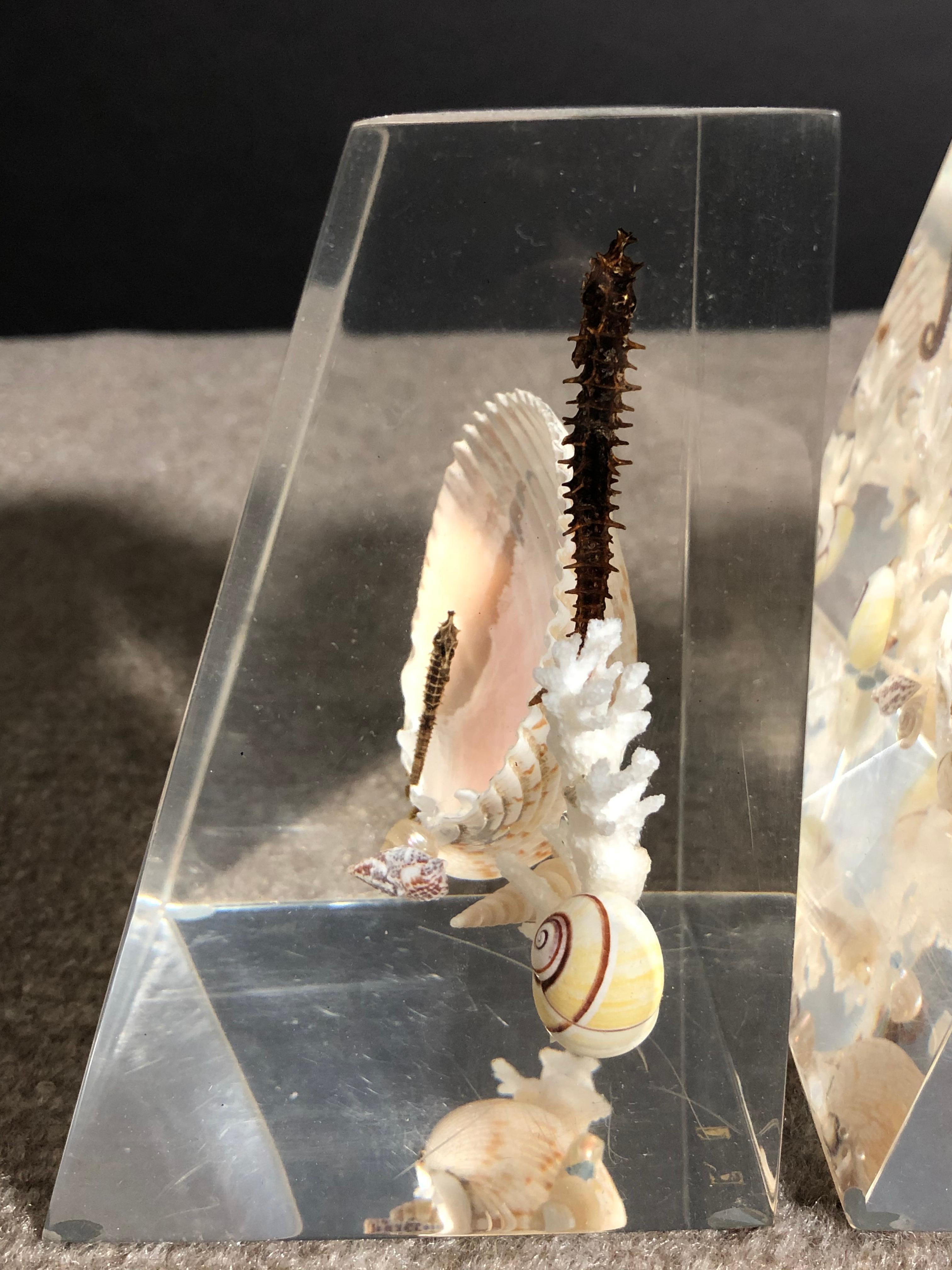 Shell Pair Of Whimsical Clear Bookends With Seashells And Seahorse For Sale