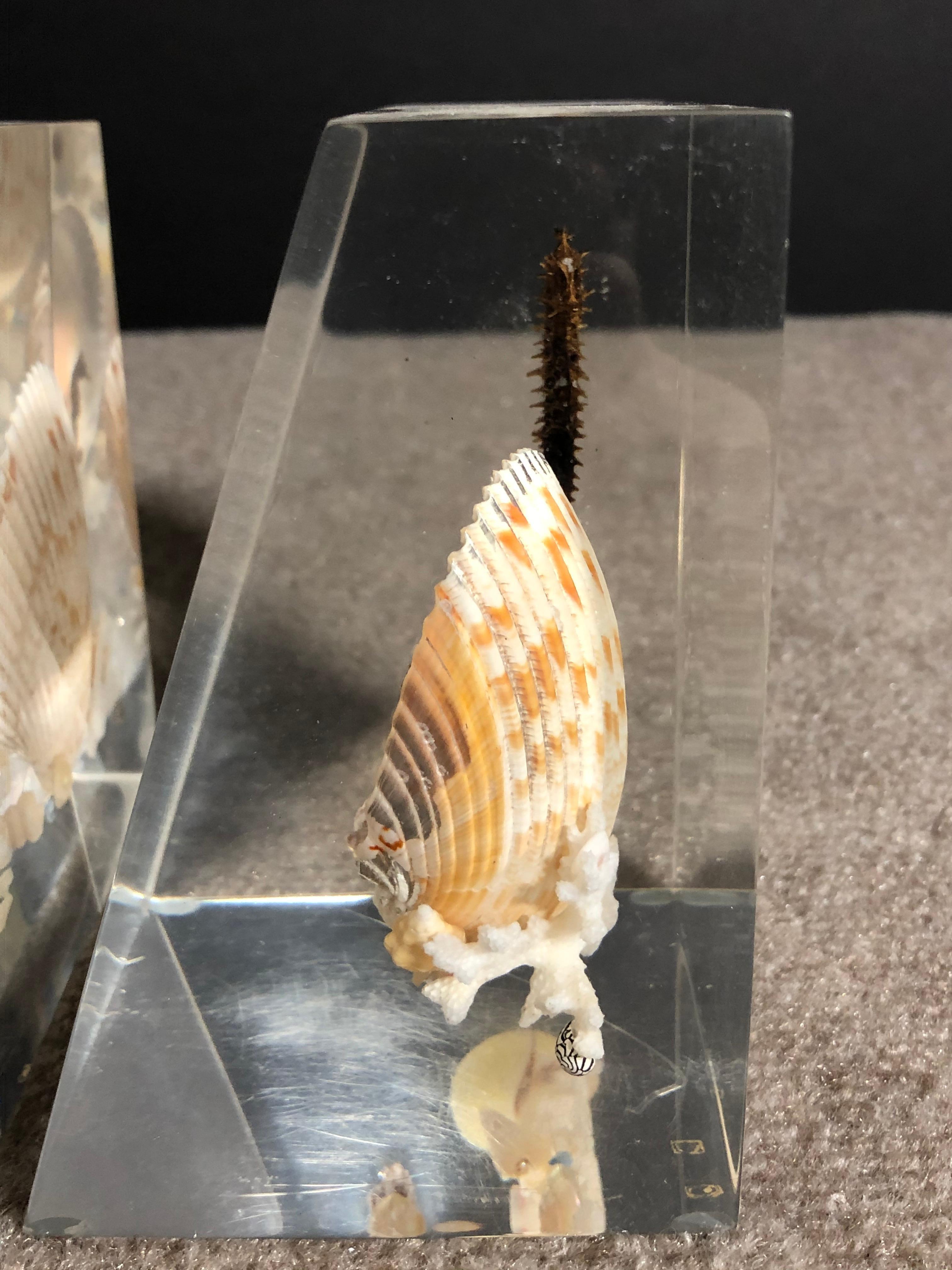 Pair Of Whimsical Clear Bookends With Seashells And Seahorse In Good Condition For Sale In Norwood, NJ