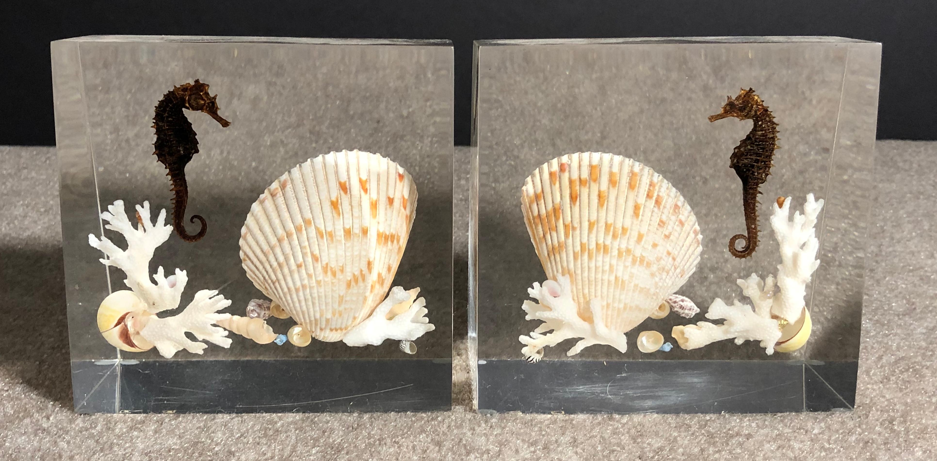 Pair Of Whimsical Clear Bookends With Seashells And Seahorse For Sale 2