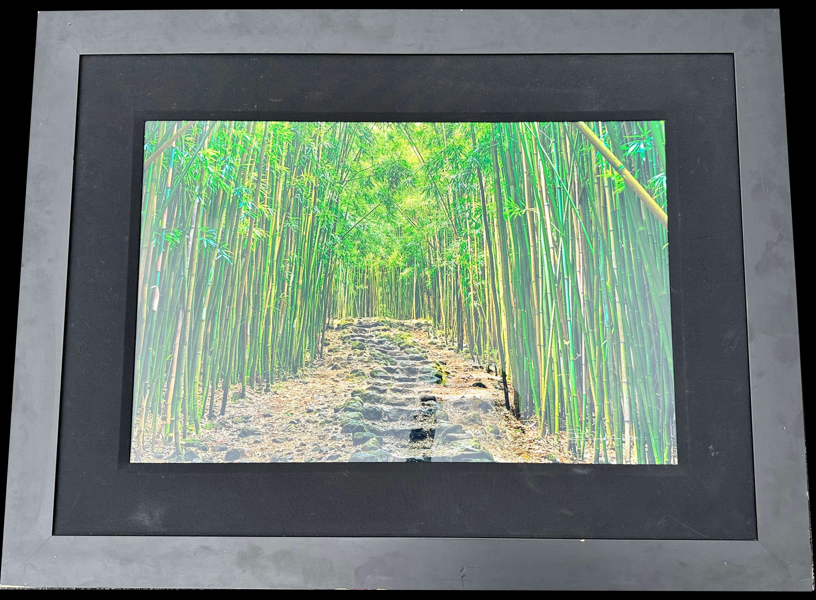 Lucky Bamboo Path, Foto von Peter Lik auf Maui Hawaii, grüner Bambus, gerahmt (amerikanisch) im Angebot