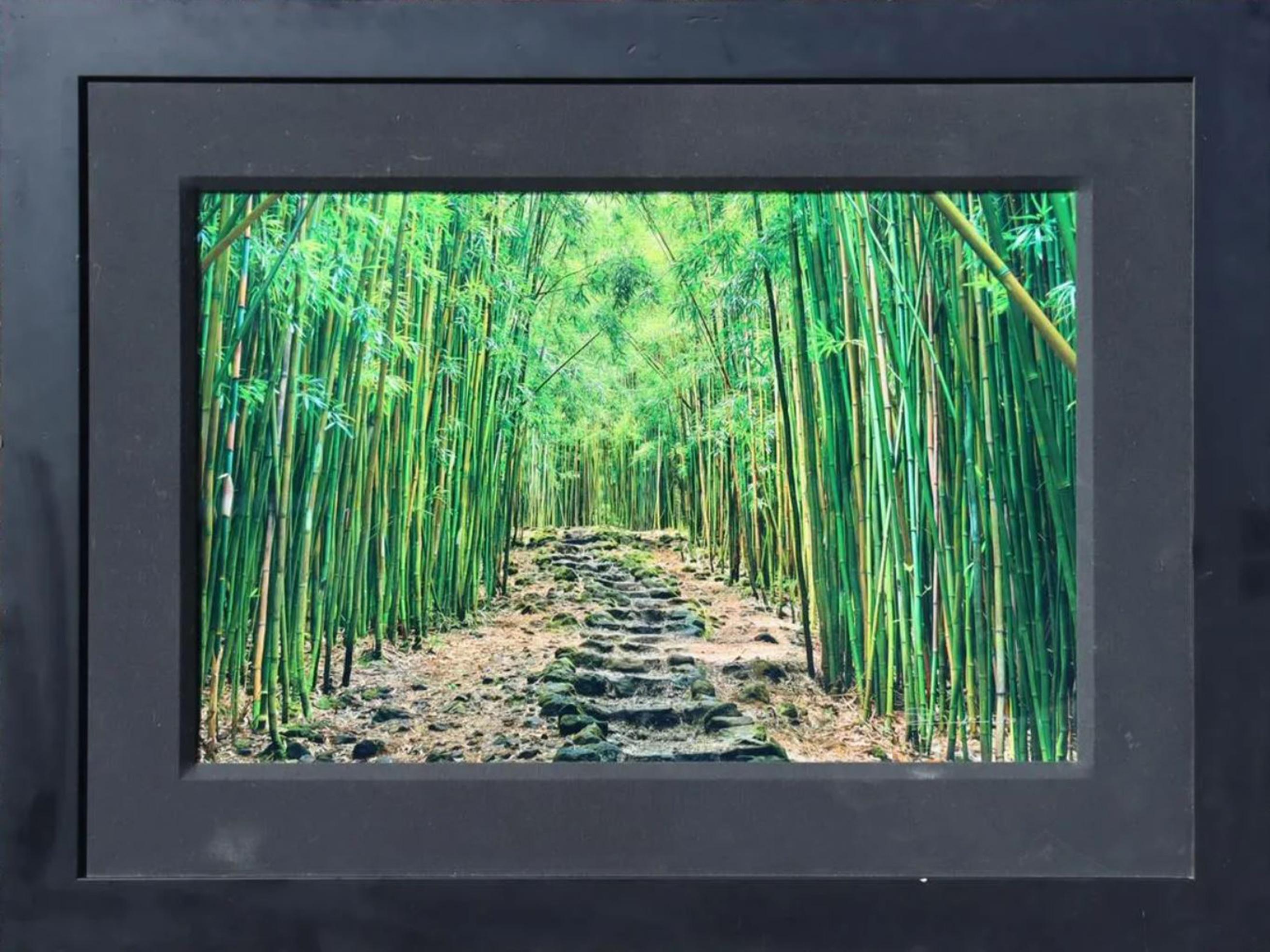 Lucky Bamboo Path Photo Taken by Peter Lik in Maui Hawaii, Green Bamboo, Framed For Sale