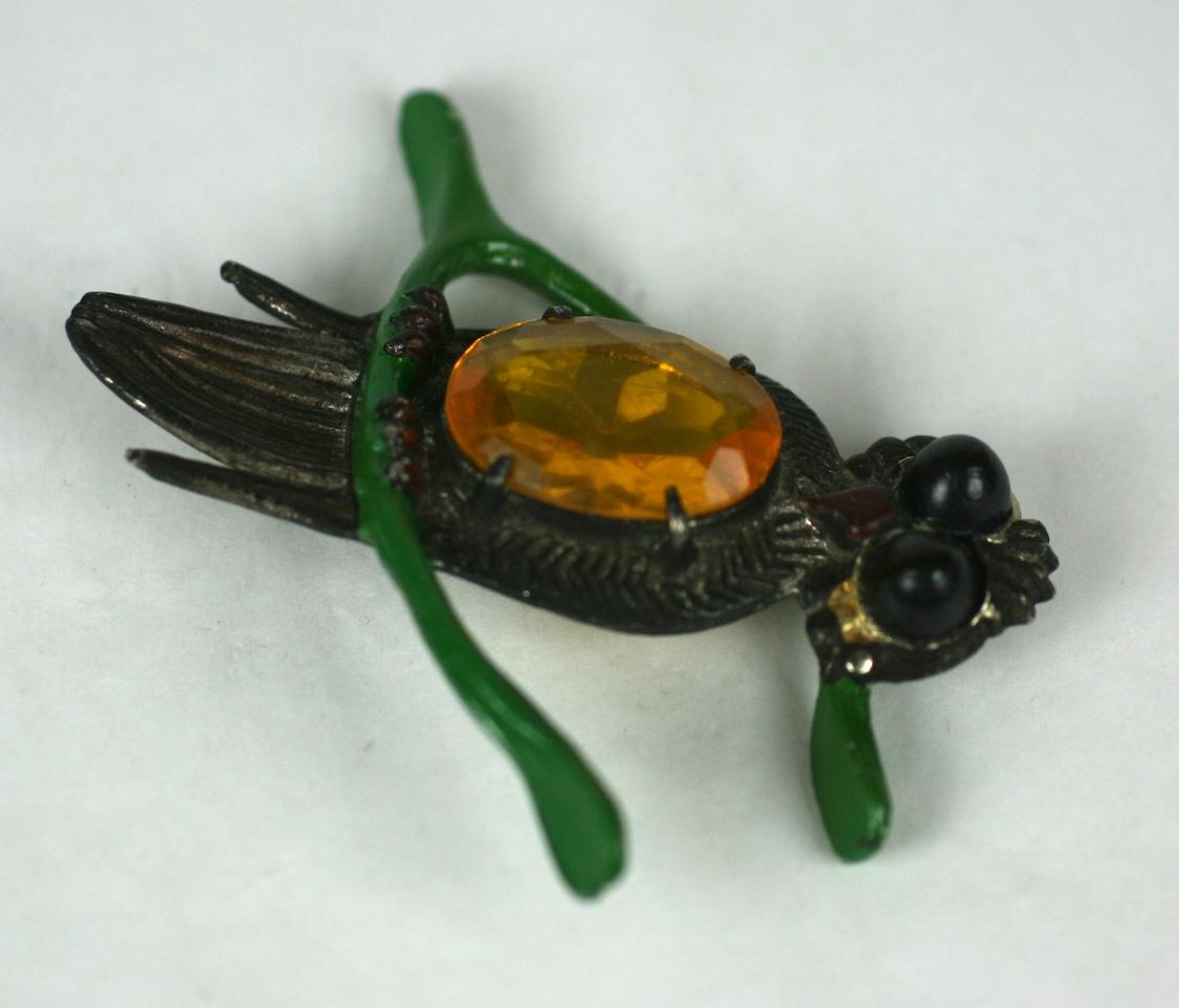 horseshoe owl