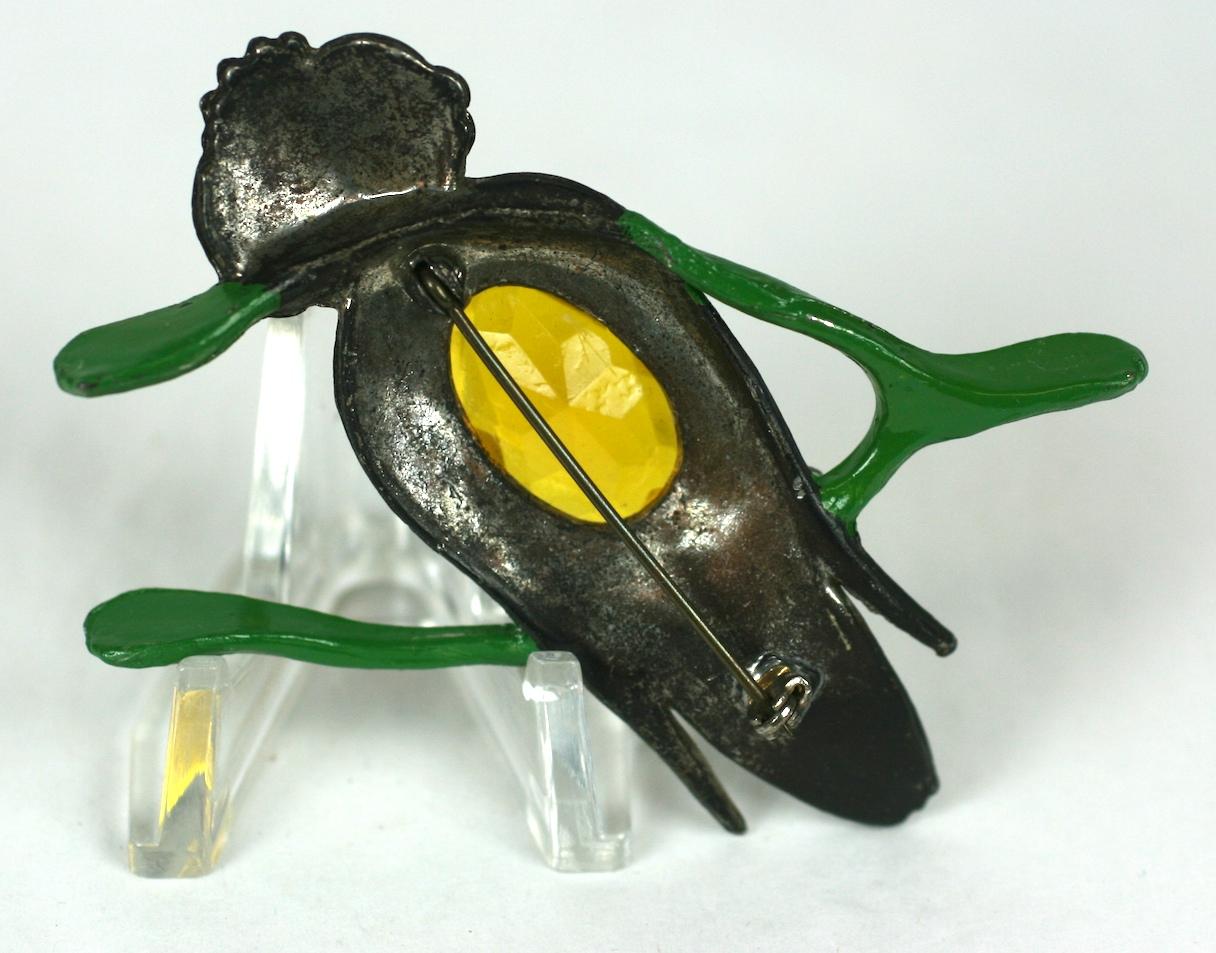 horse shoe owl
