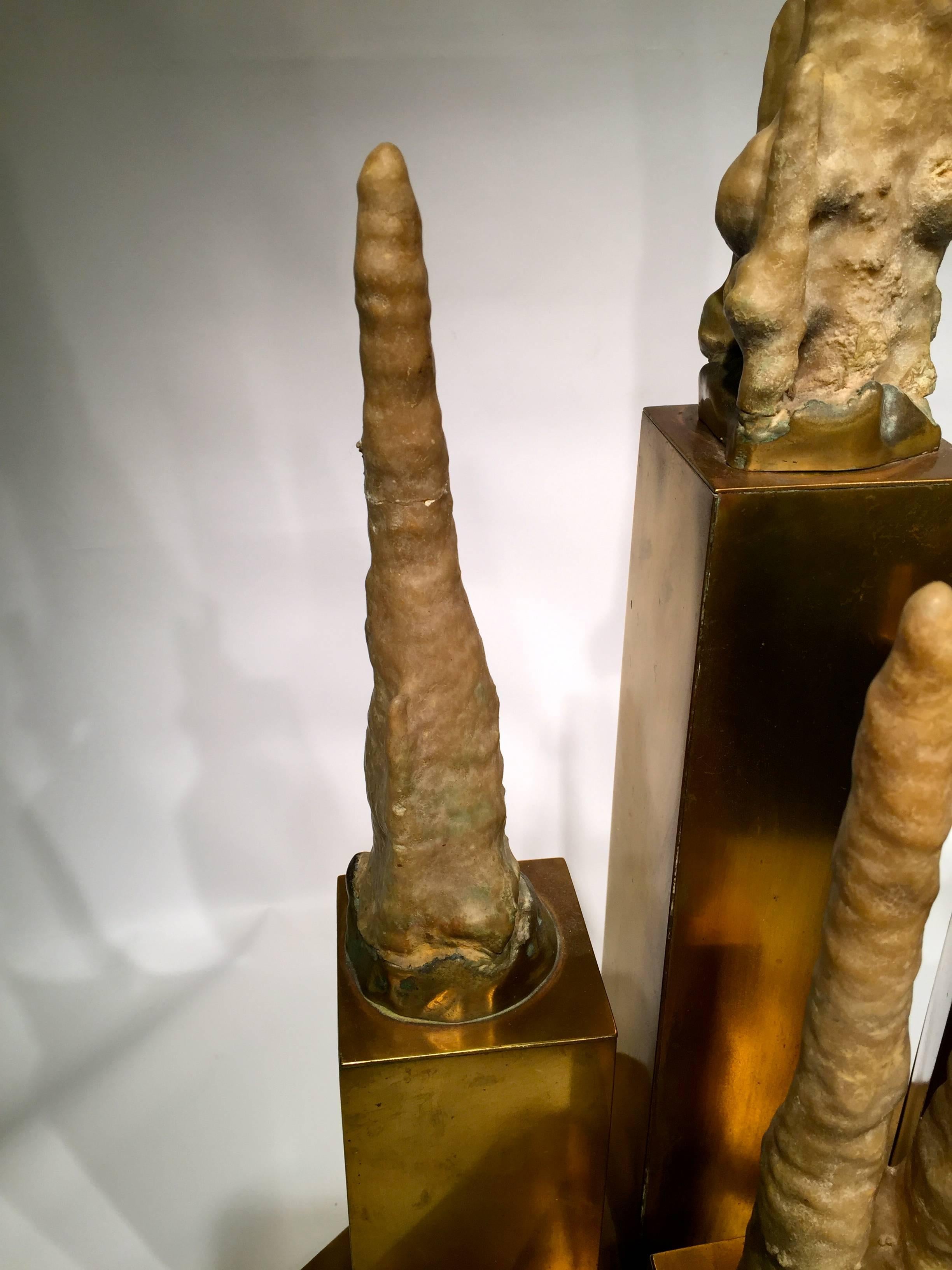 stalagmites for sale