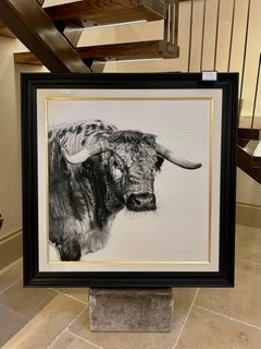 Lucy Boydell, The Longhorn Bull, Charcoal Portrait